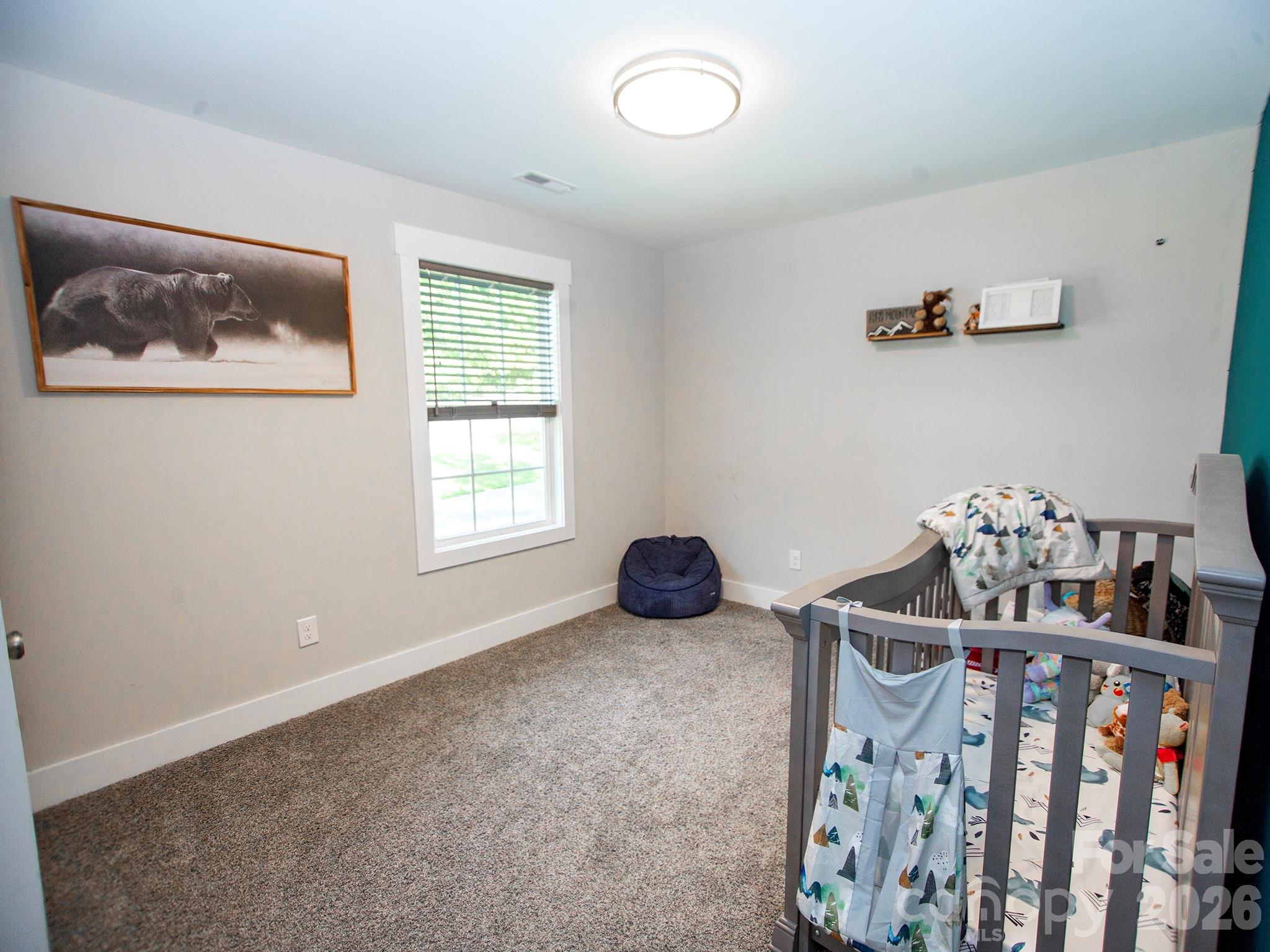 509 Sacco Extension Property Photo 18