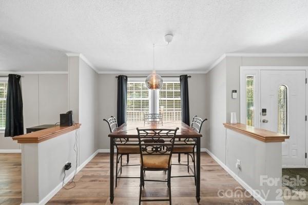 864 Stowe Lane Property Photo 6