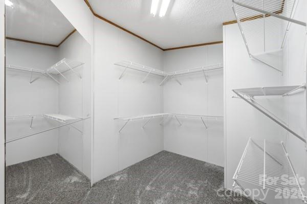 864 Stowe Lane Property Photo 22