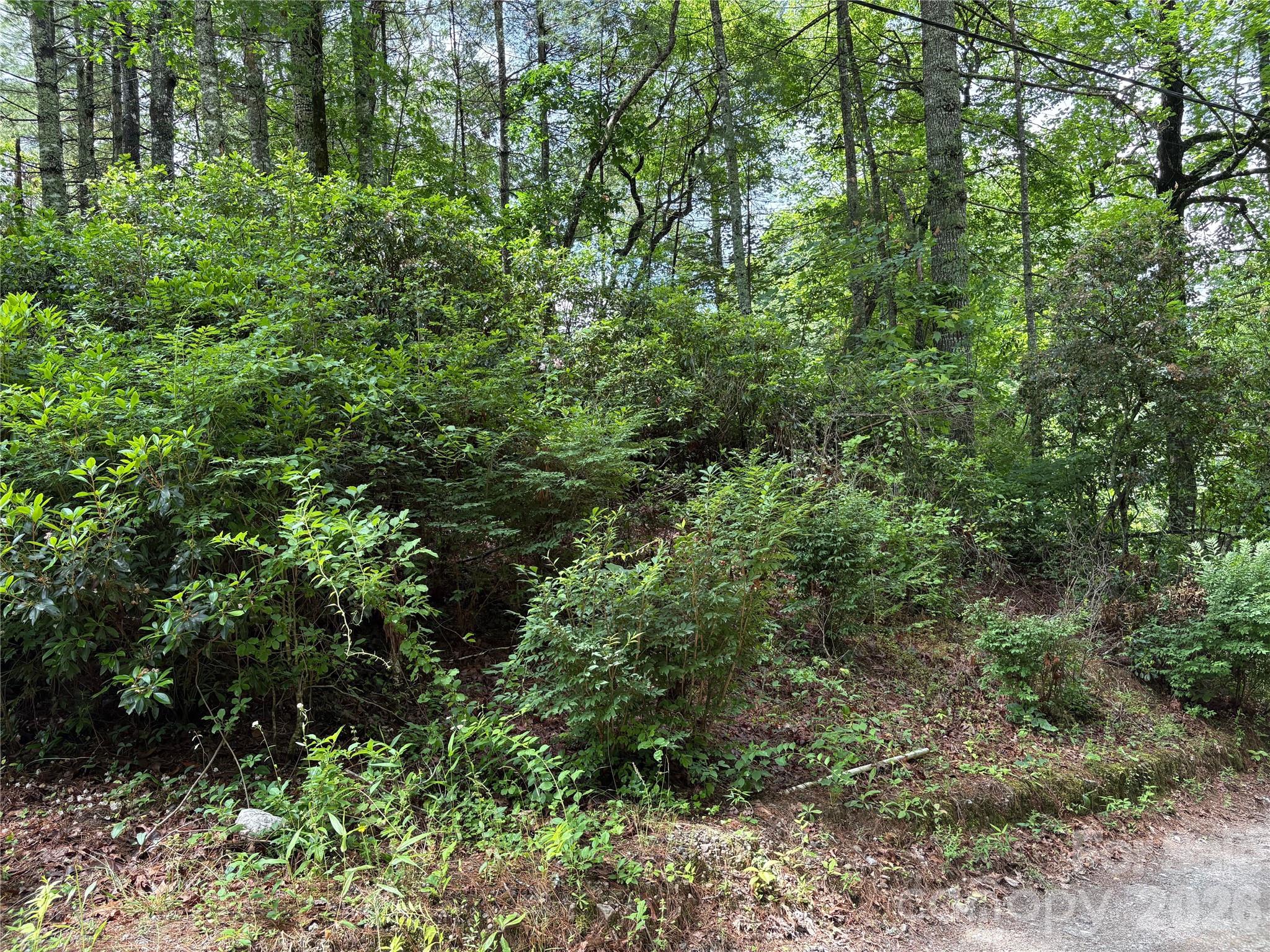 197 Fox Hollow Circle 28 Property Photo 6