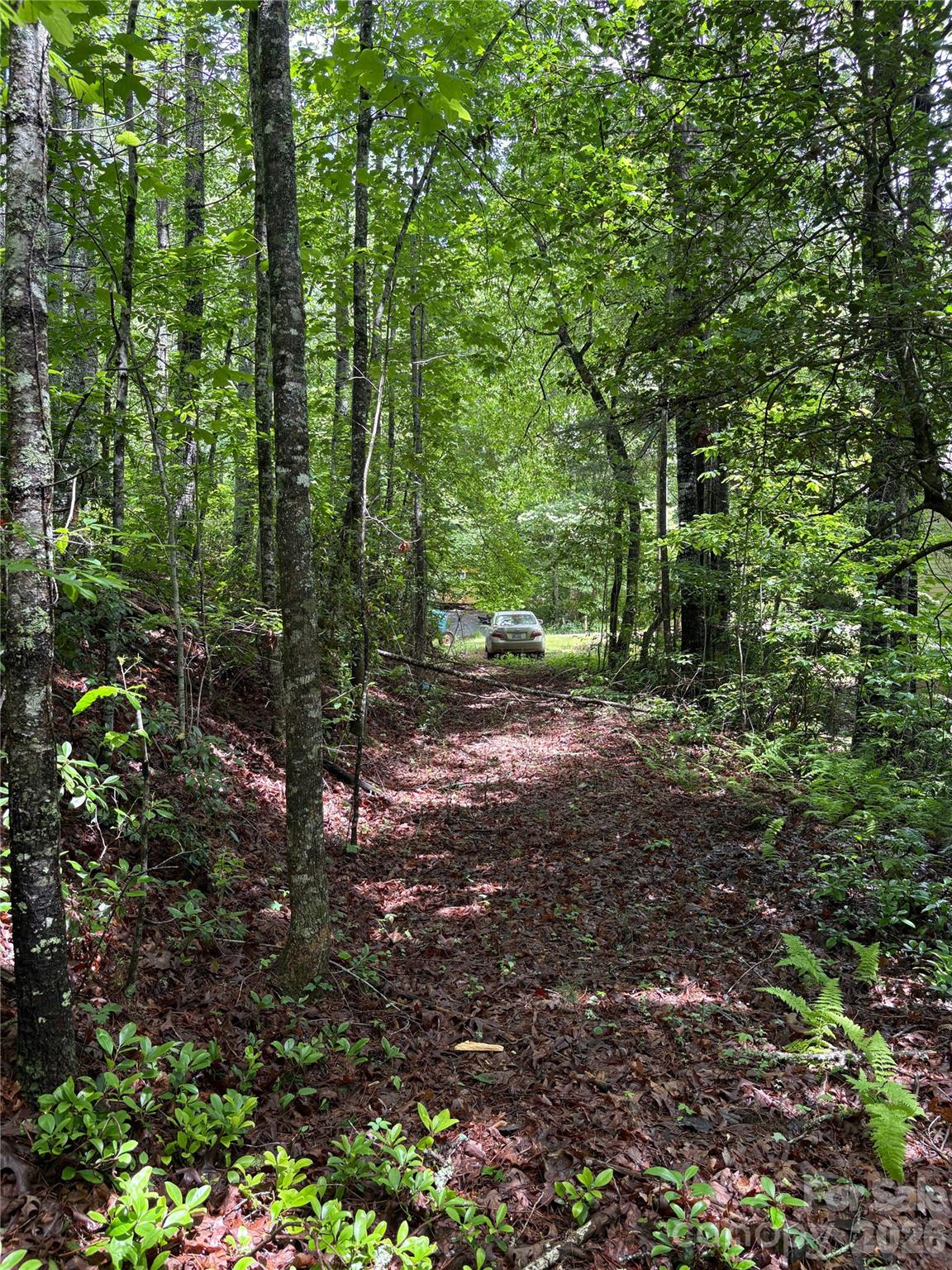 197 Fox Hollow Circle 28 Property Photo 16