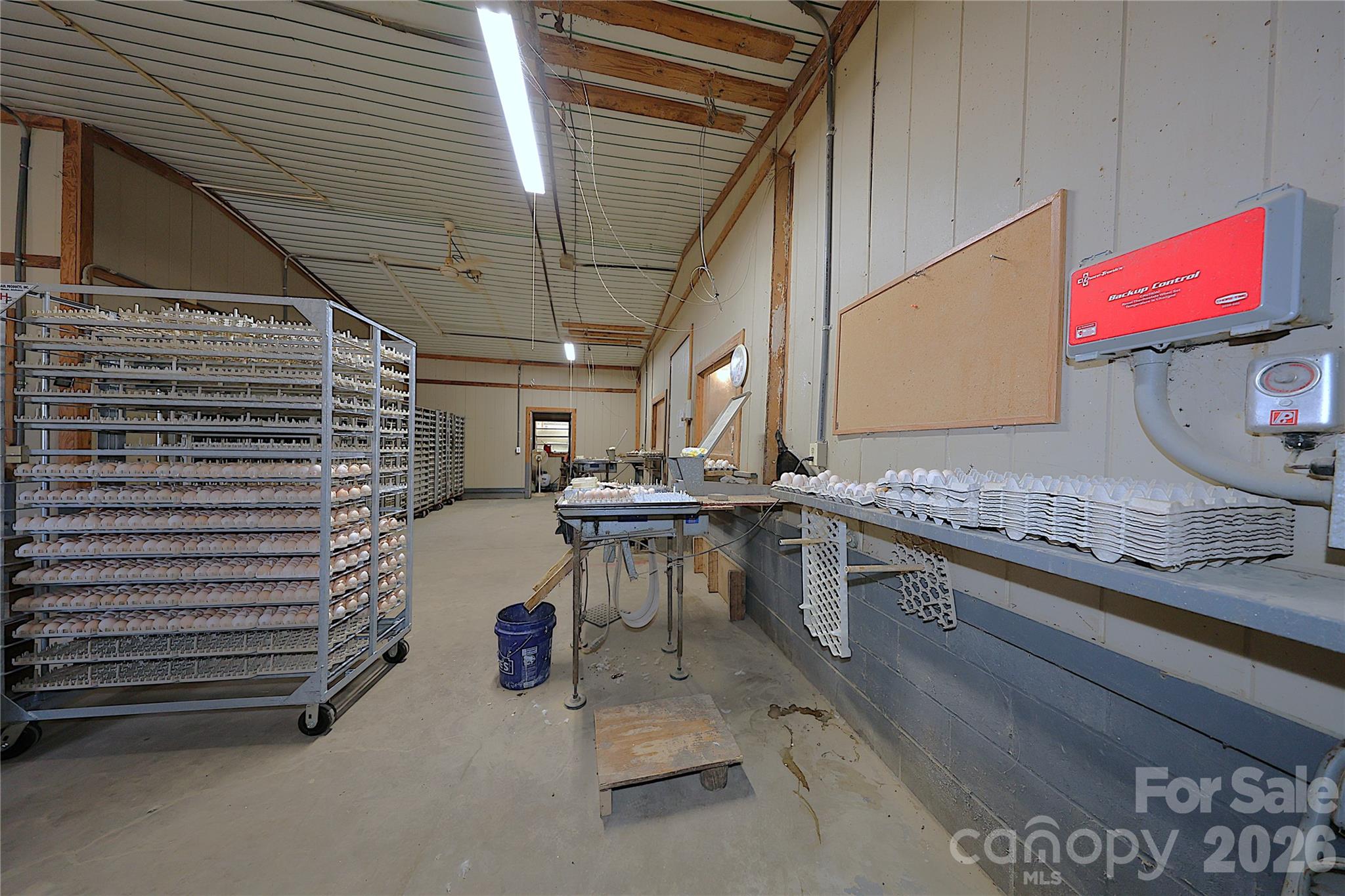 2121 Whitetail Road Property Photo 19