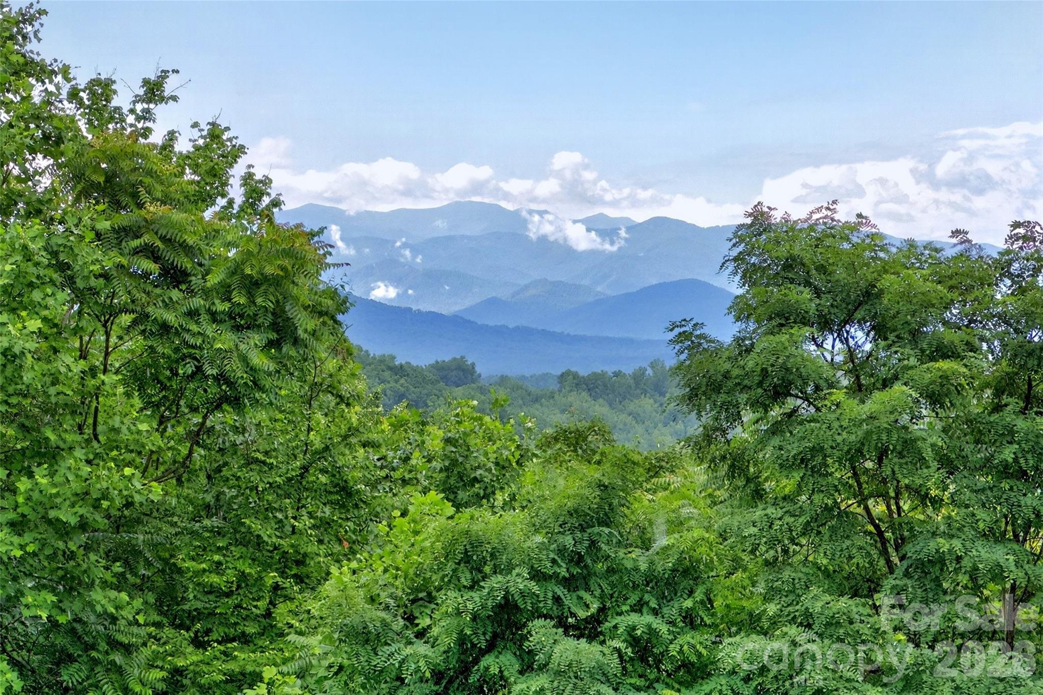 696 Hickory Nut Hollow Property Photo 10