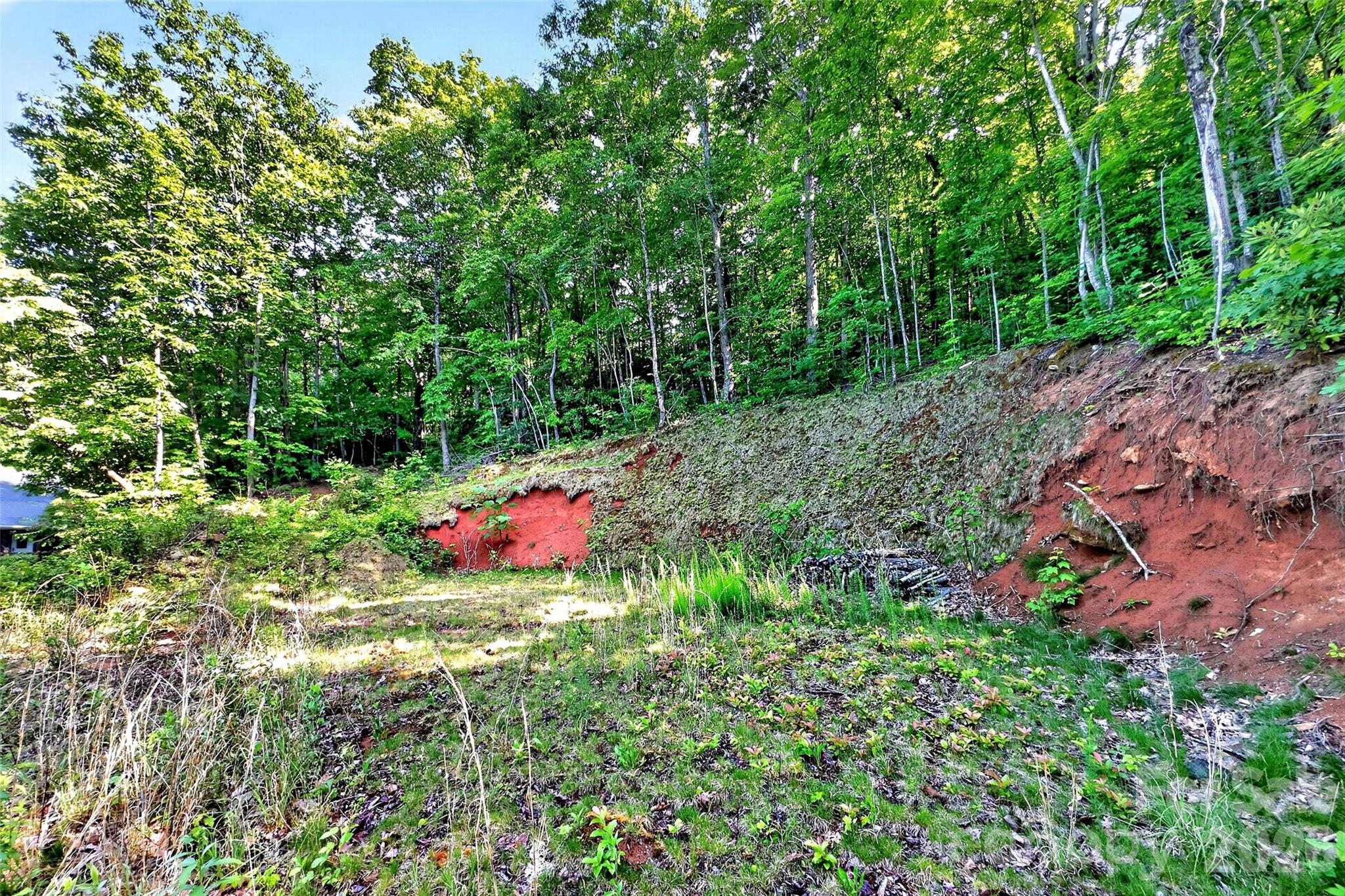 696 Hickory Nut Hollow Property Photo 48