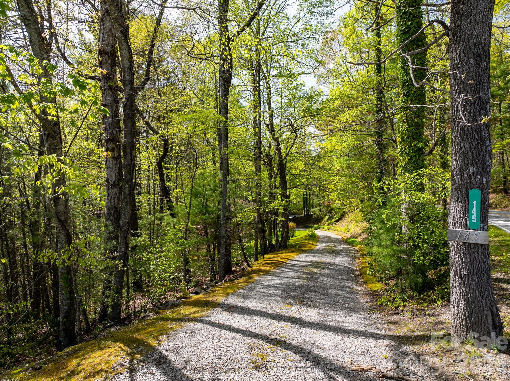 145 Jeter Mountain Road Property Photo 4
