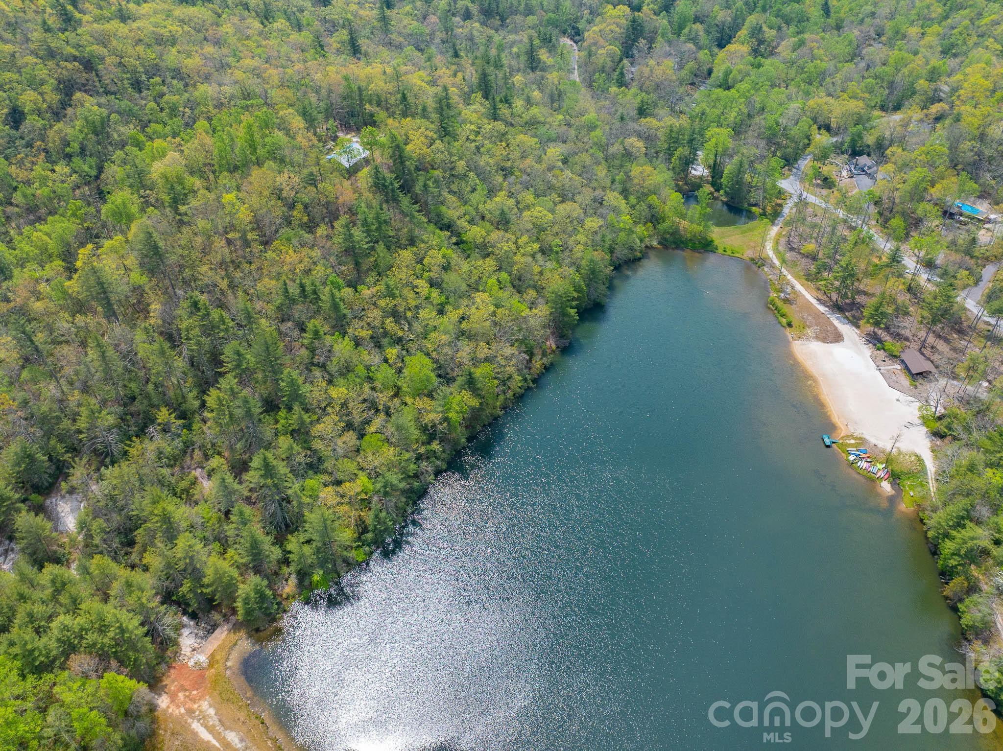 1971 Swiss Pine Lake Drive Property Photo 34