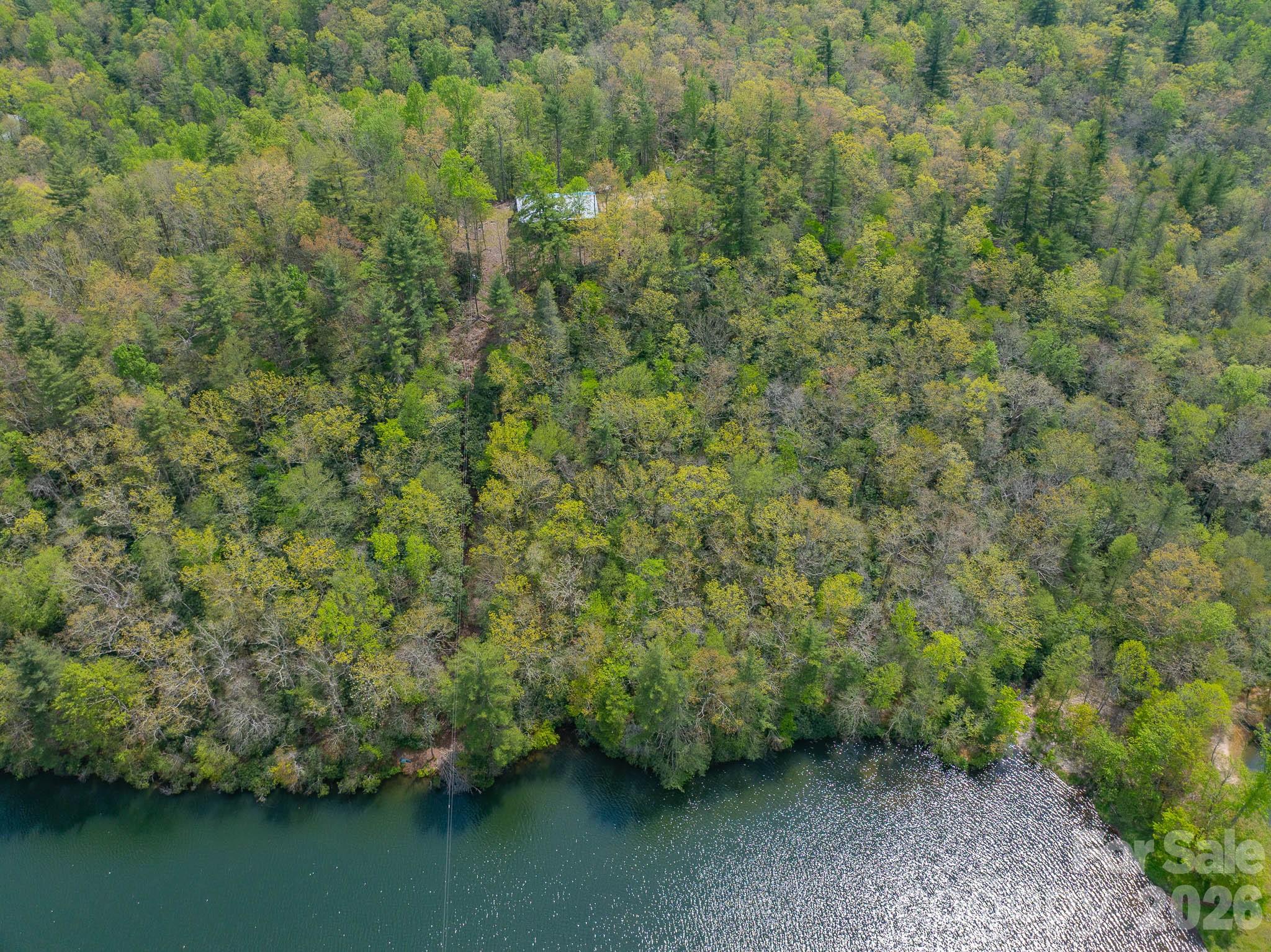 1971 Swiss Pine Lake Drive Property Photo 36