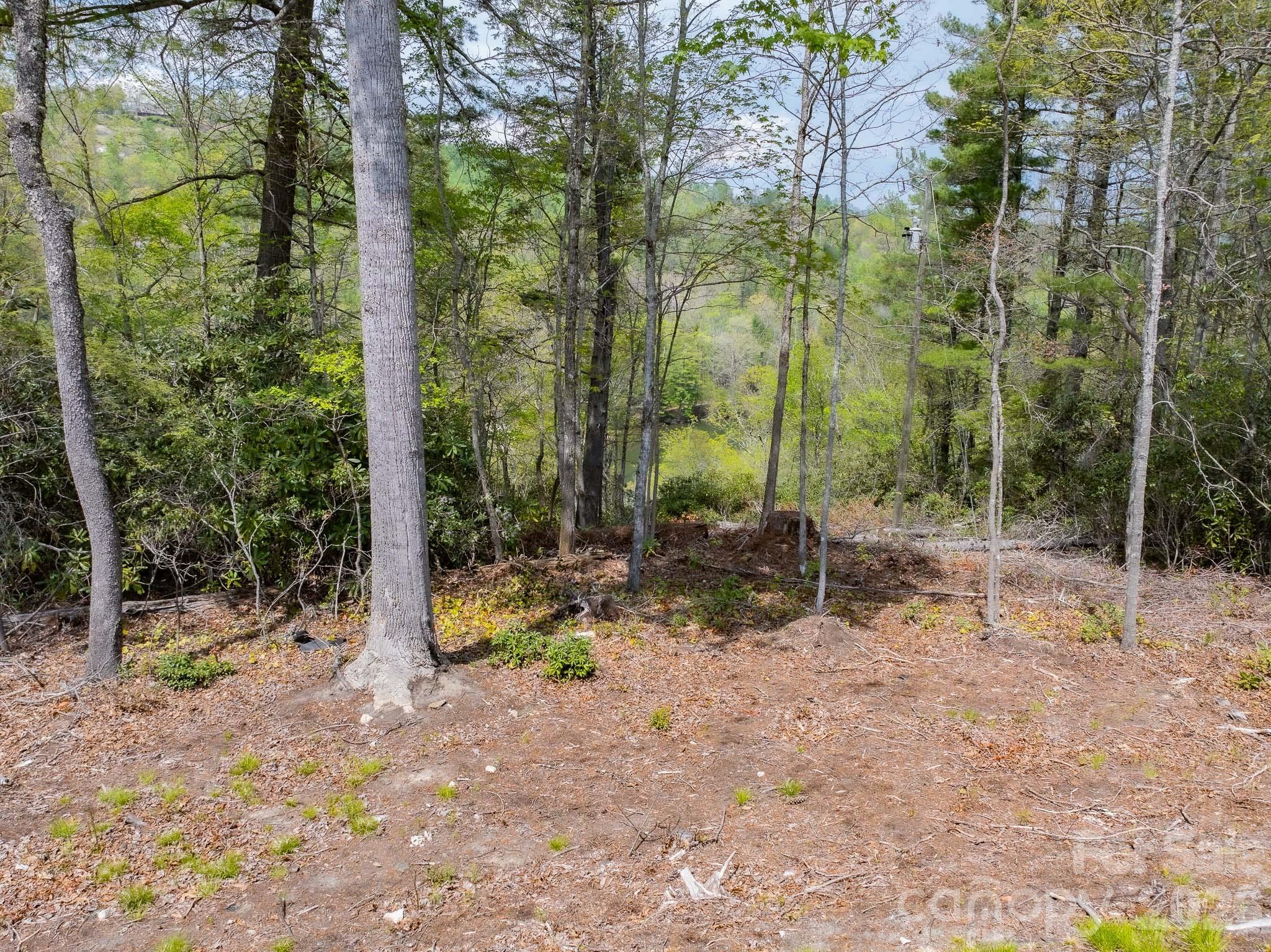 1971 Swiss Pine Lake Drive Property Photo 38