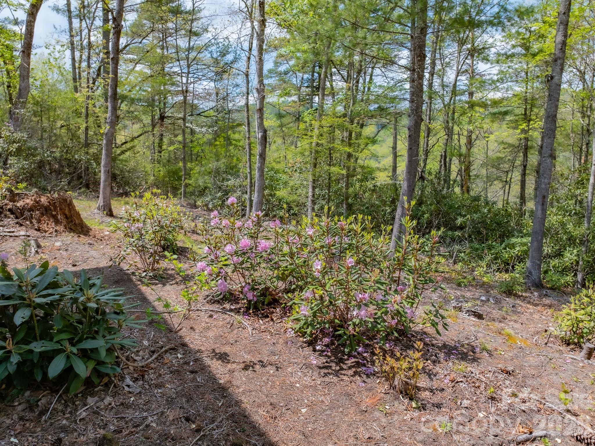 1971 Swiss Pine Lake Drive Property Photo 39