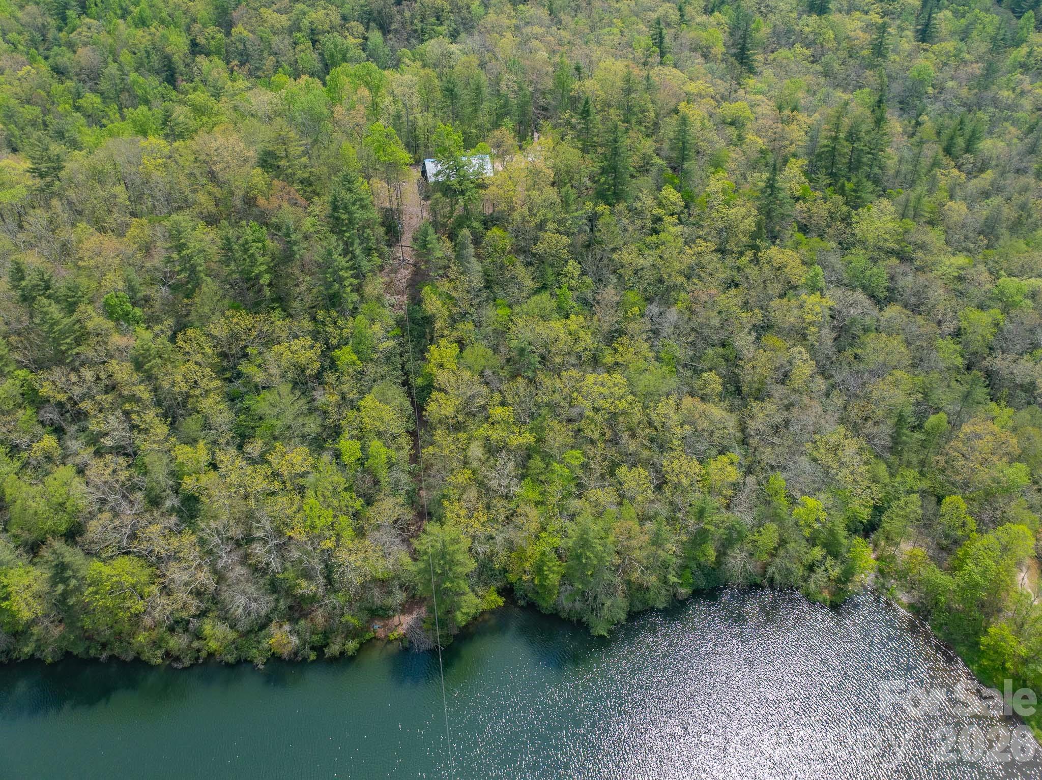 1971 Swiss Pine Lake Drive Property Photo 41