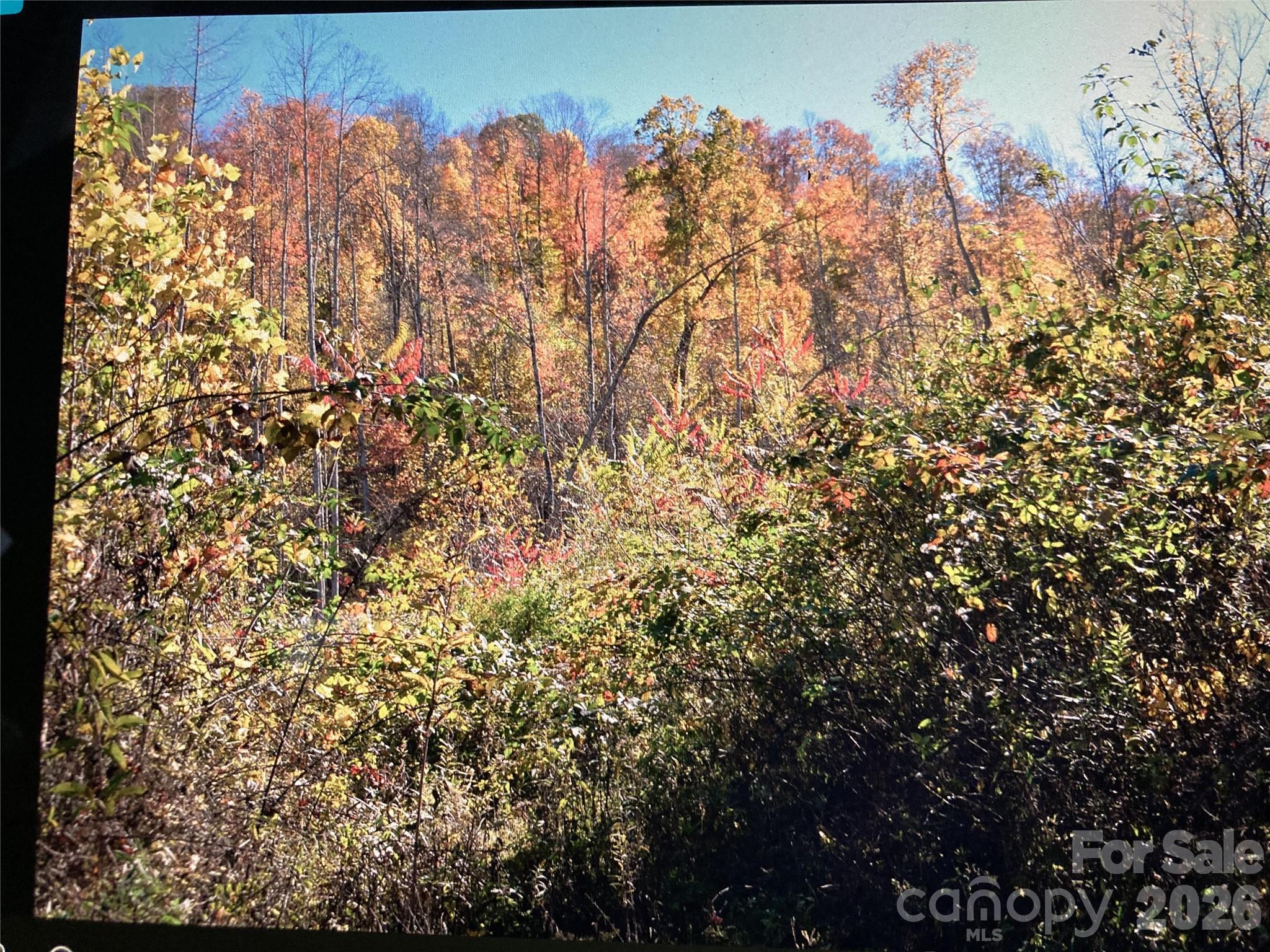 Tbd Prices Creek Road Property Photo 3