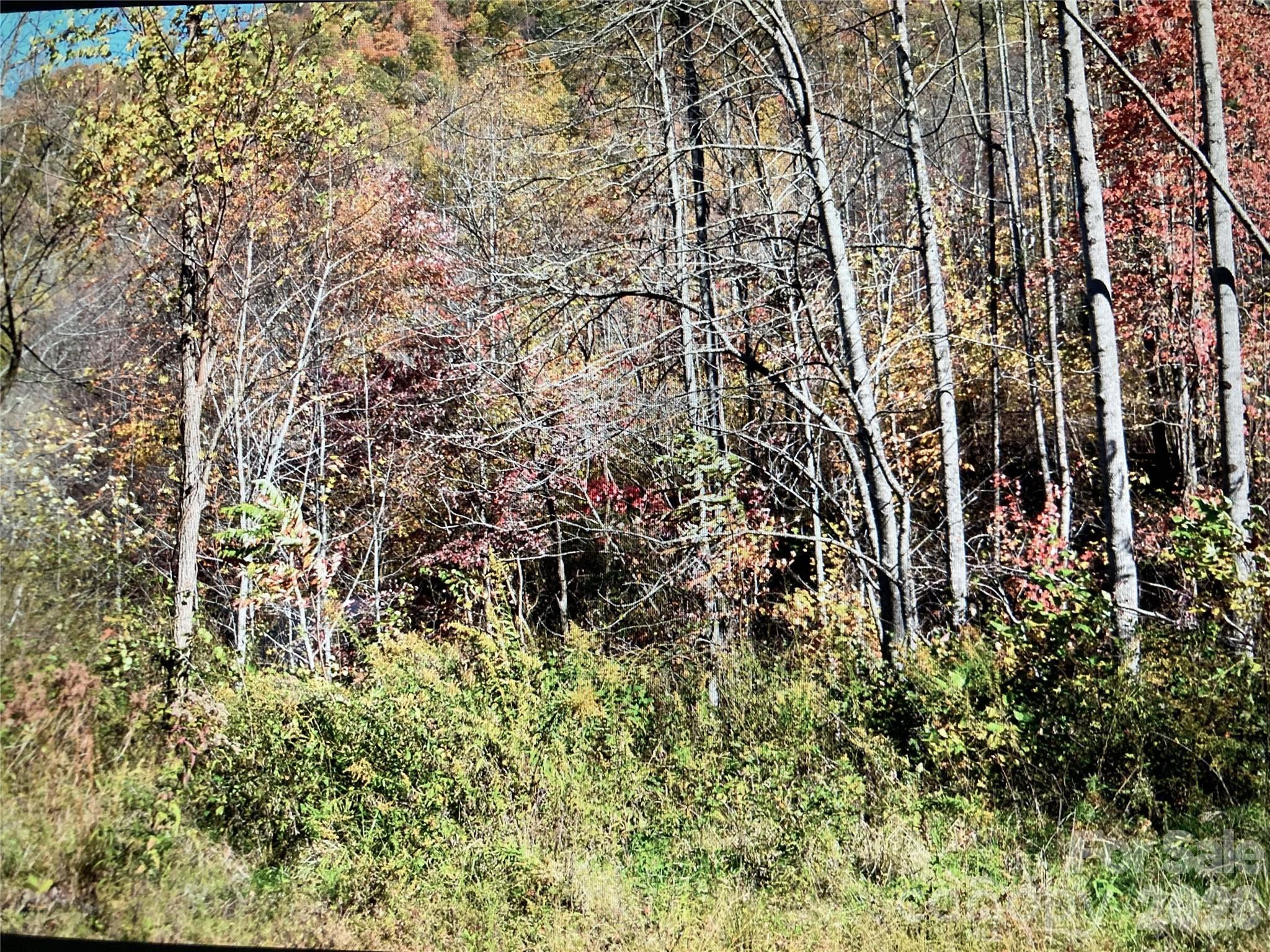 Tbd Prices Creek Road Property Photo 4