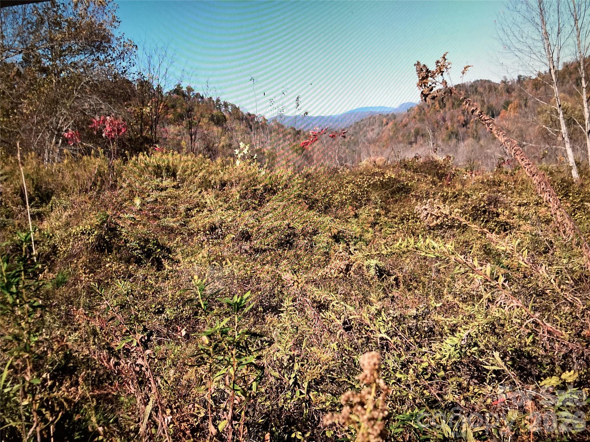 Tbd Prices Creek Road Property Photo 6