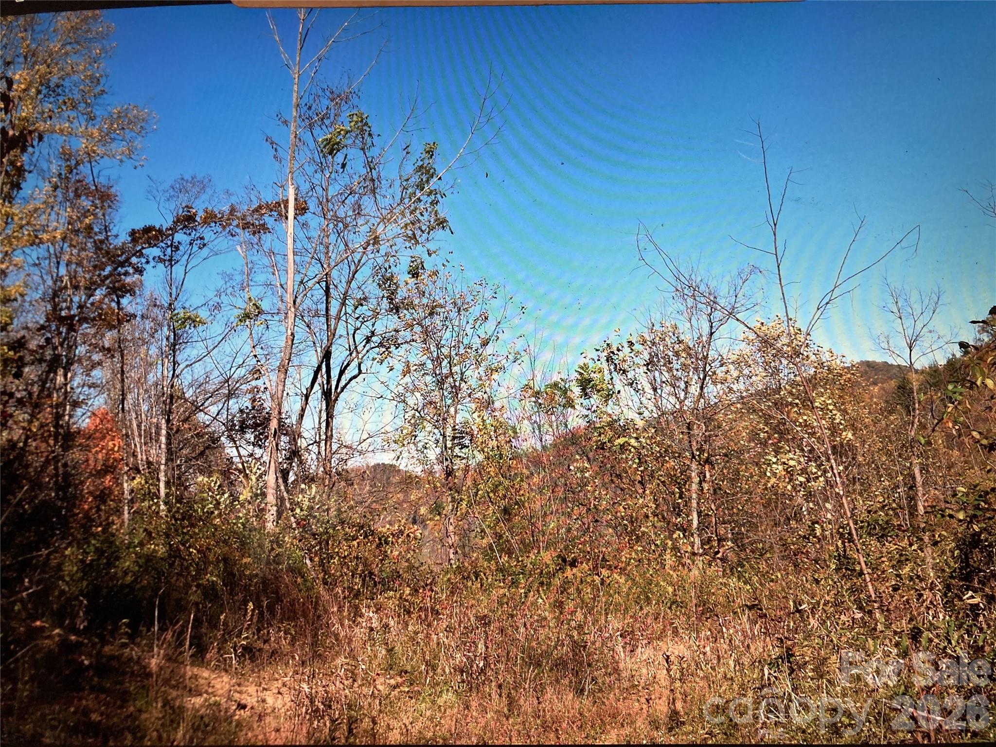 Tbd Prices Creek Road Property Photo 7