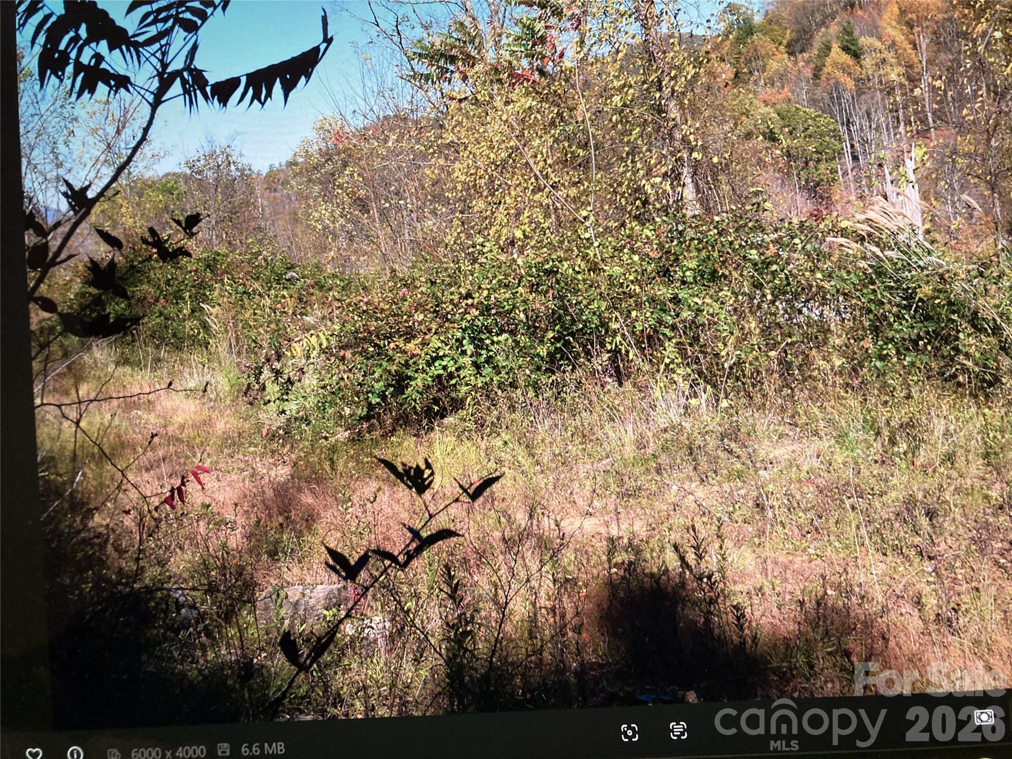 Tbd Prices Creek Road Property Photo 8