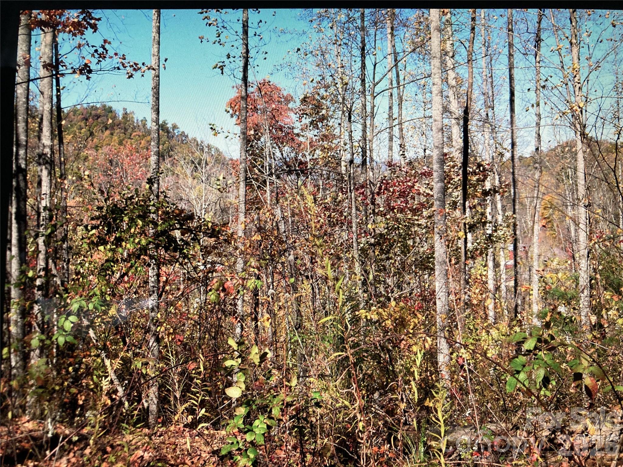 Tbd Prices Creek Road Property Photo 9