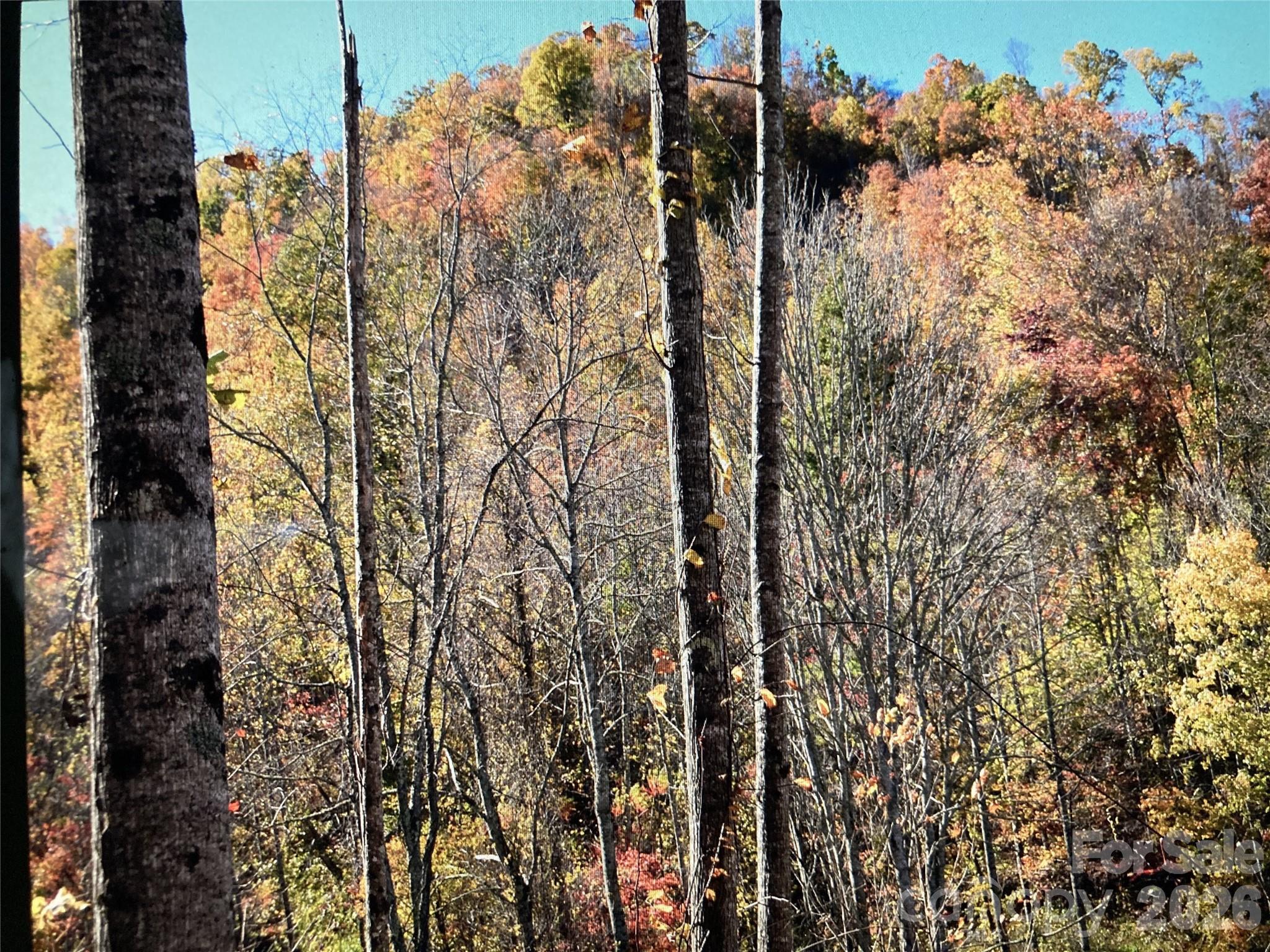 Tbd Prices Creek Road Property Photo 10
