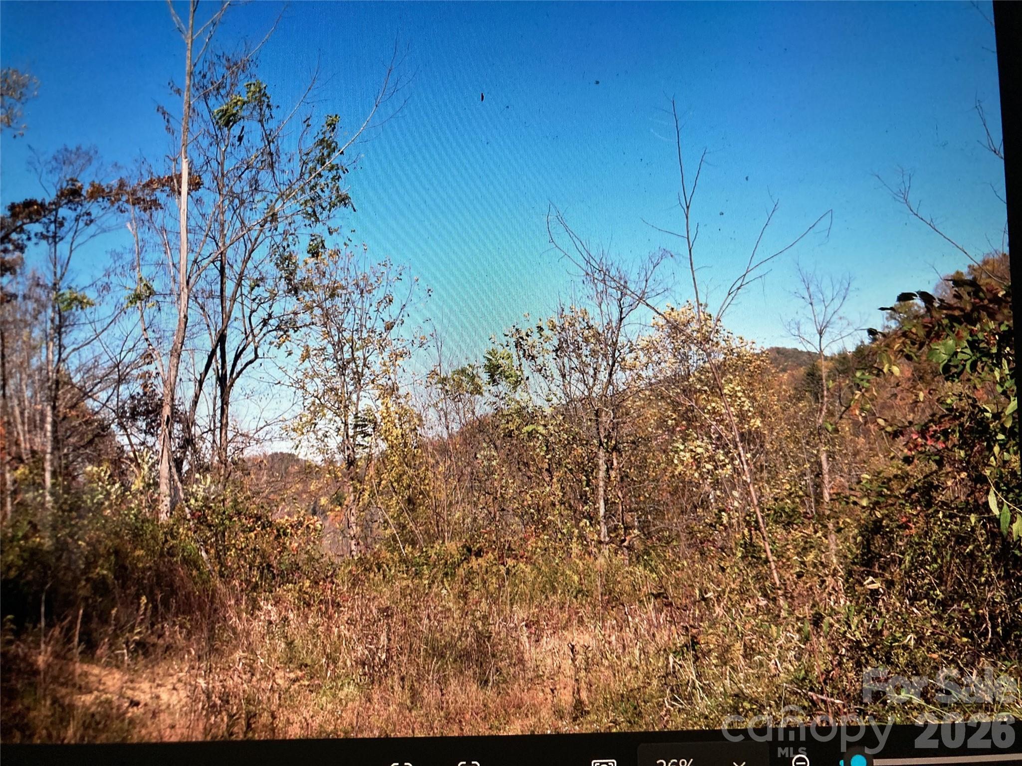 Tbd Prices Creek Road Property Photo 16