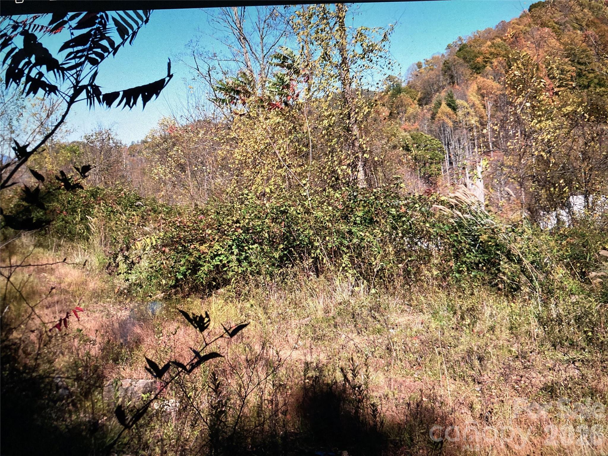 Tbd Prices Creek Road Property Photo 17
