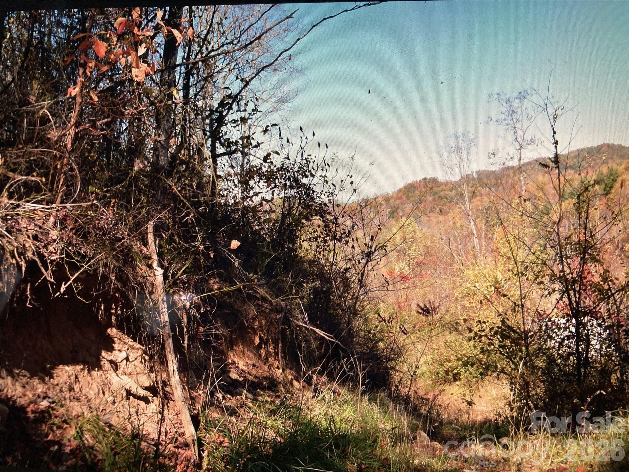 Tbd Prices Creek Road Property Photo 18