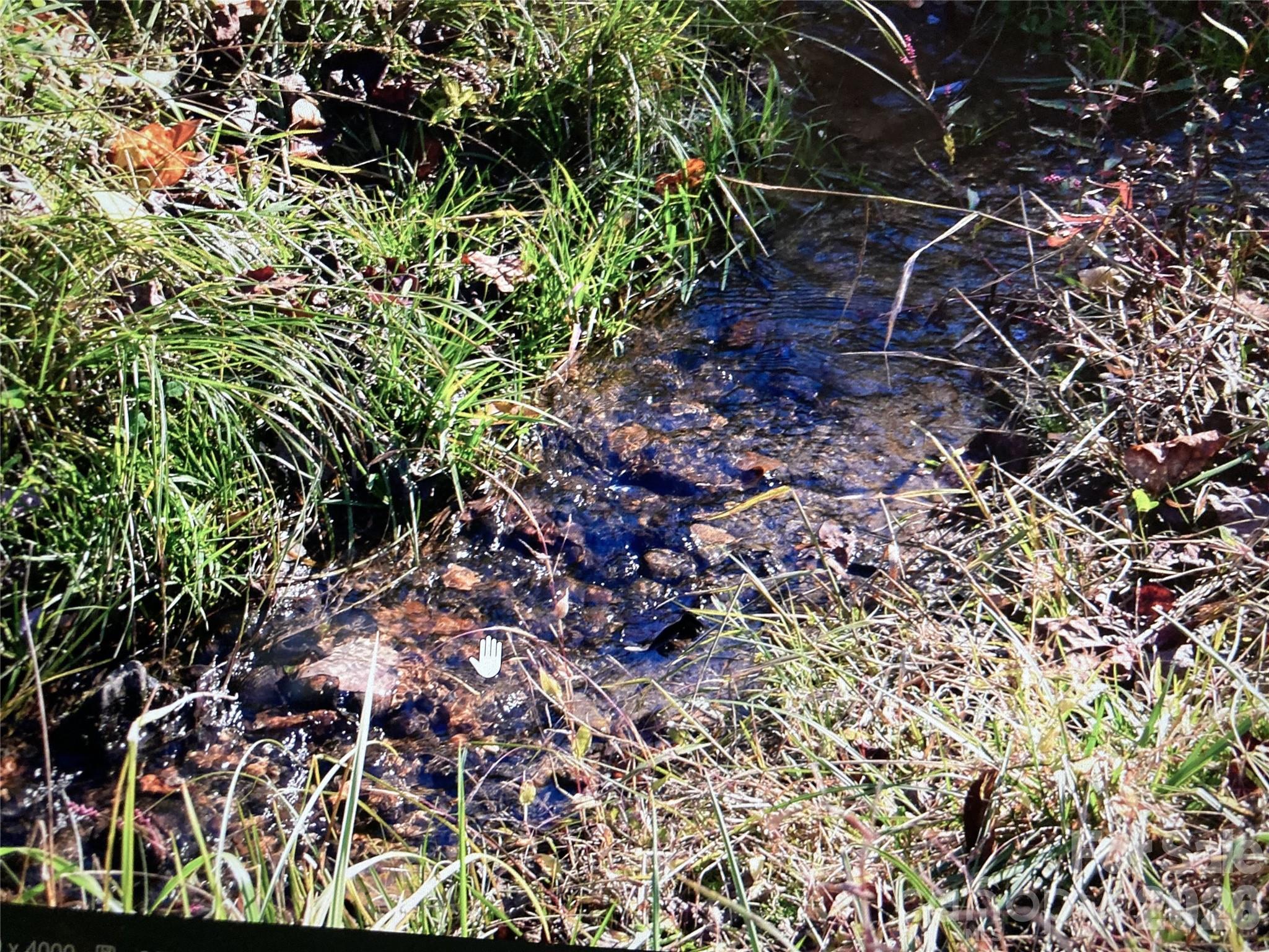 Tbd Prices Creek Road Property Photo 19