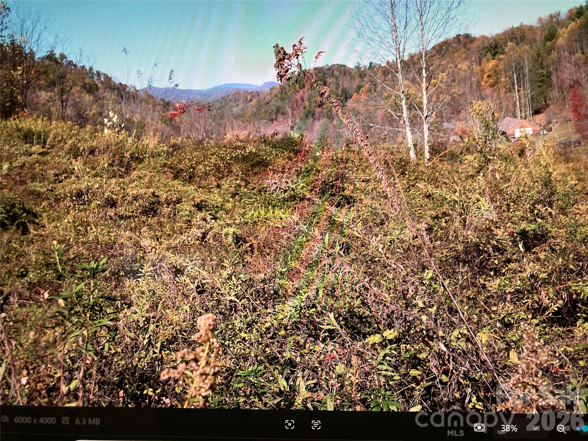 Tbd Prices Creek Road Property Photo 21