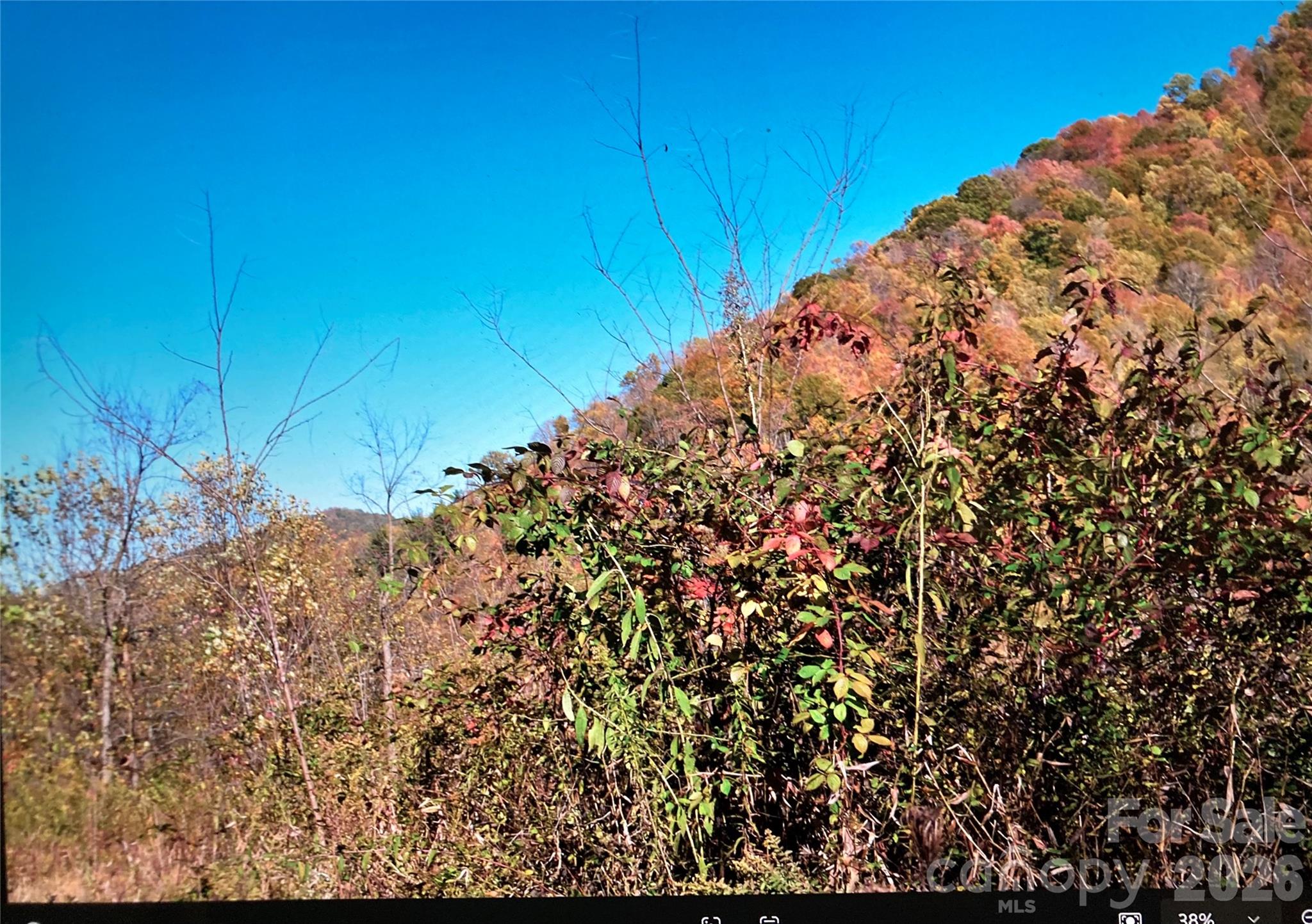 Tbd Prices Creek Road Property Photo 22