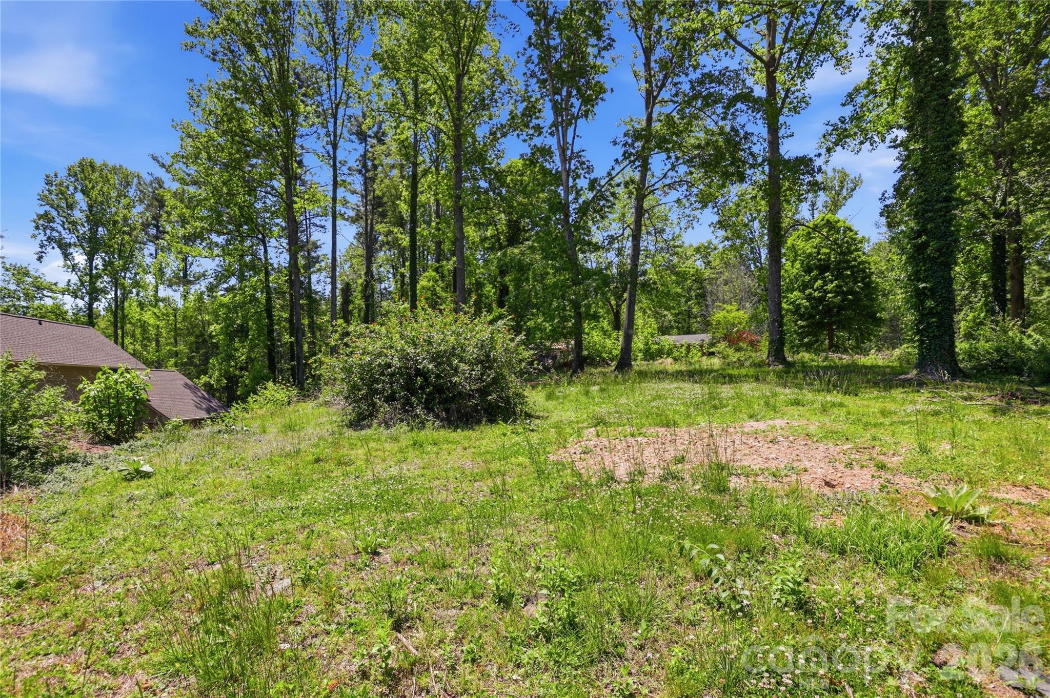 207 Wood Dale Drive Property Photo 38