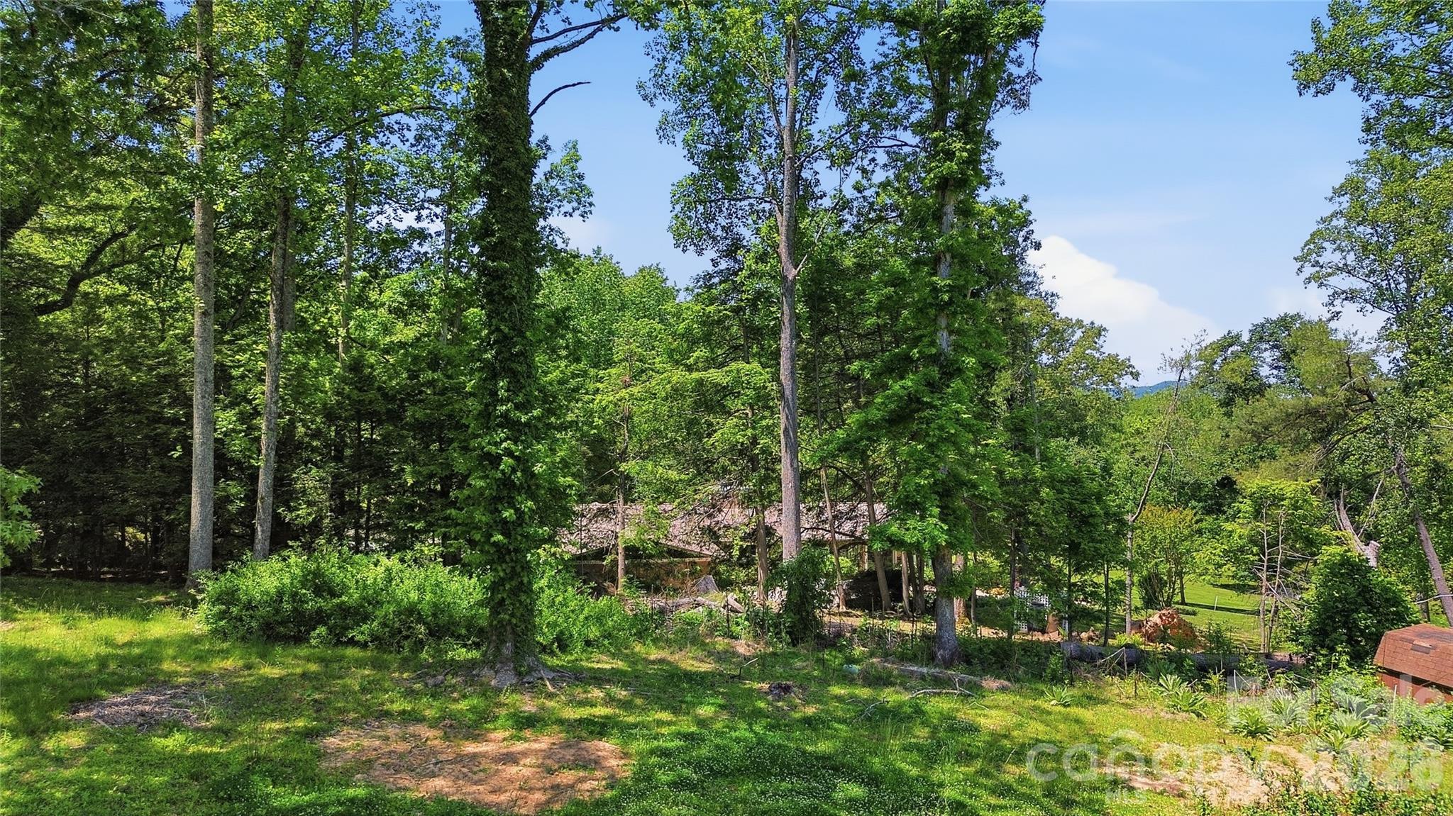 207 Wood Dale Drive Property Photo 44