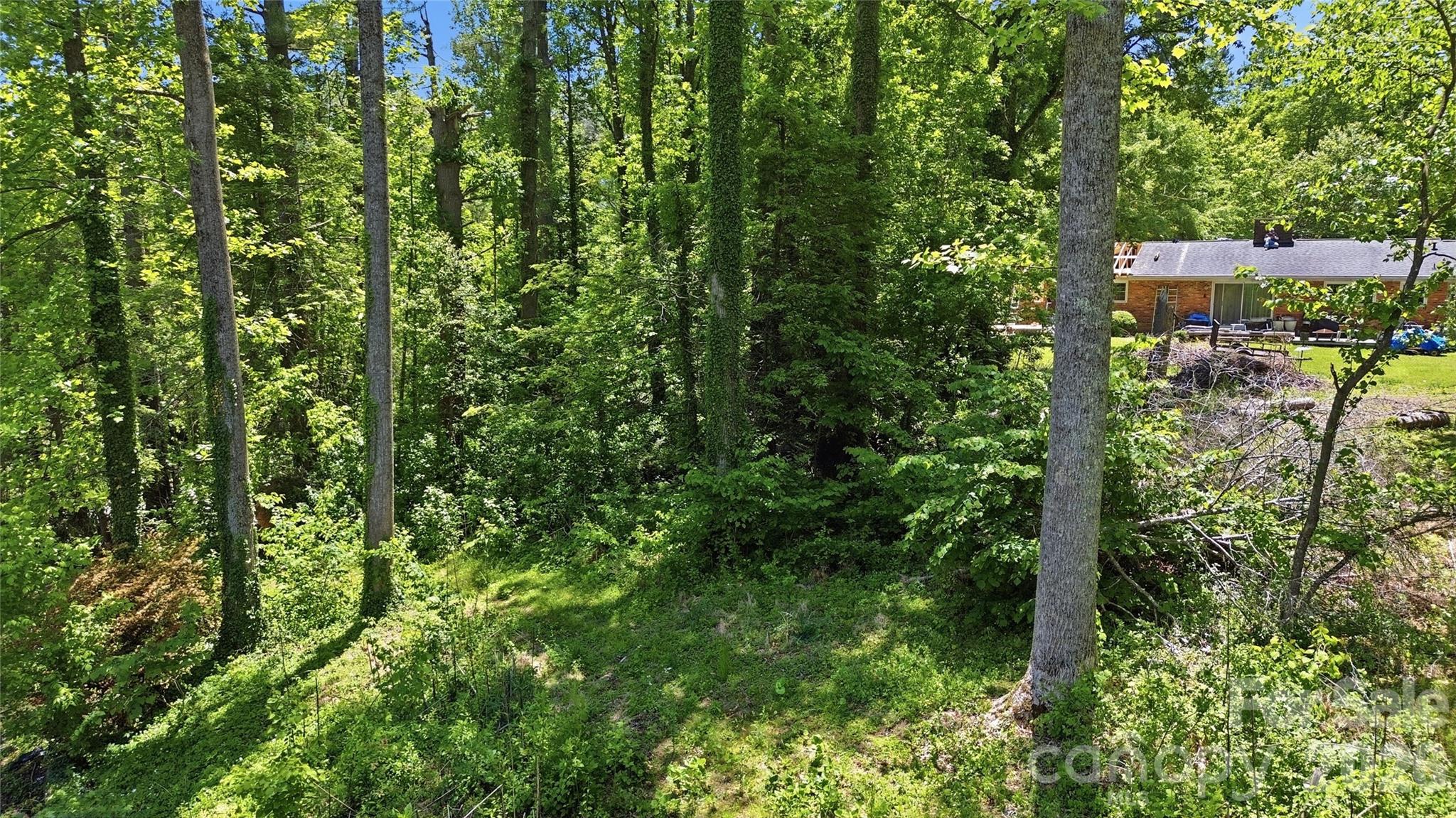 207 Wood Dale Drive Property Photo 45