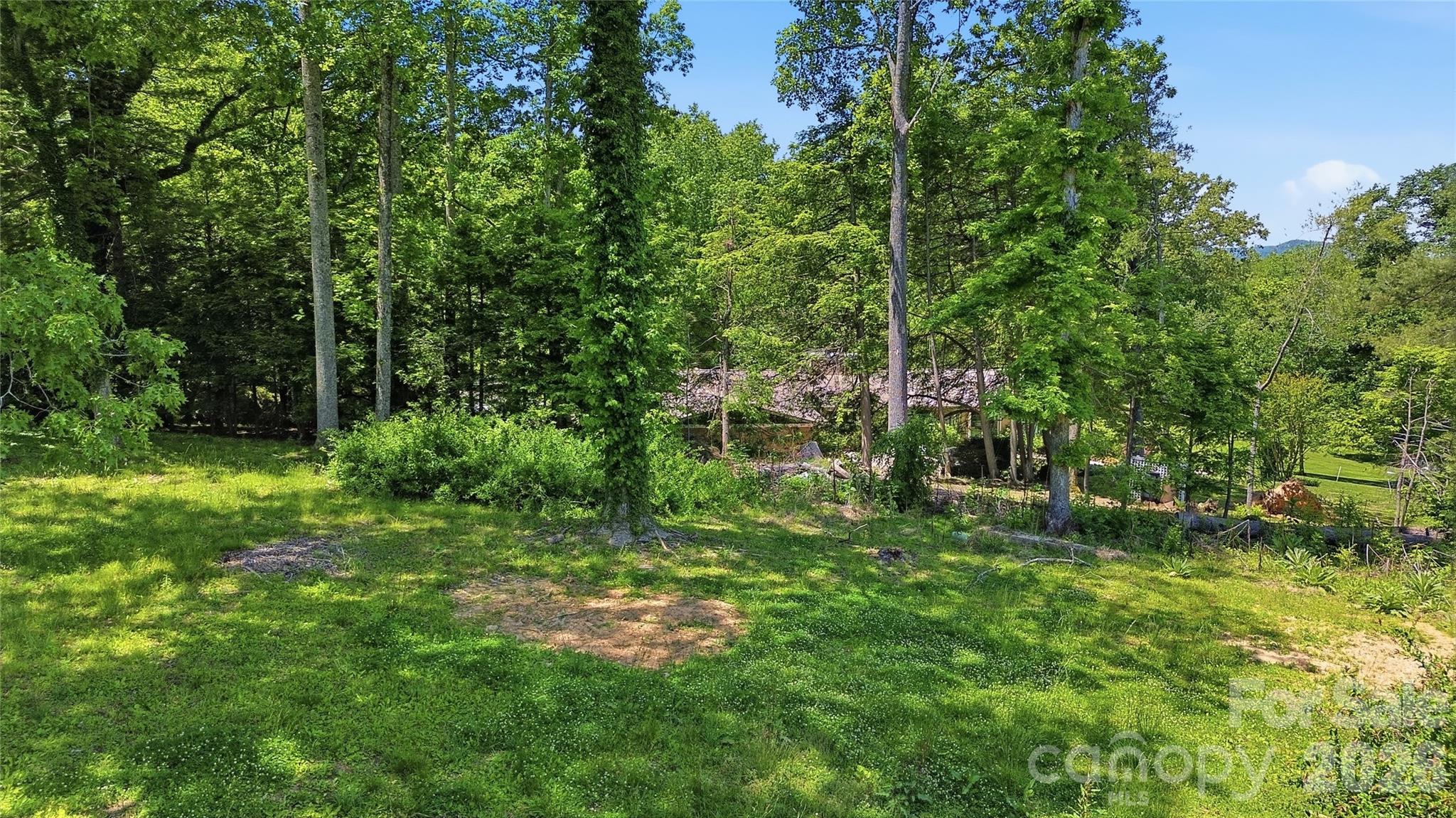 207 Wood Dale Drive Property Photo 46