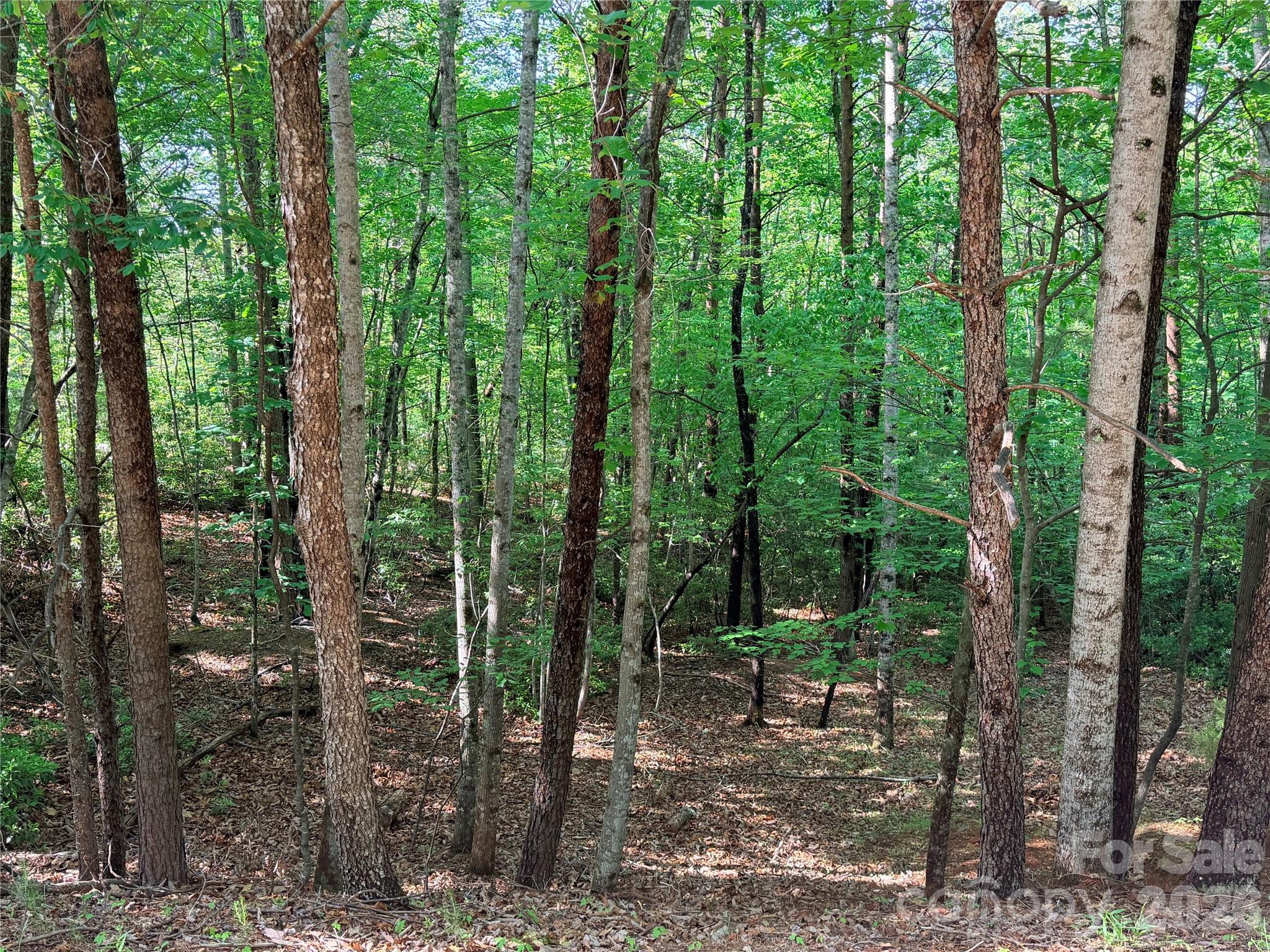 0 Mcdaniel Court Property Photo 1