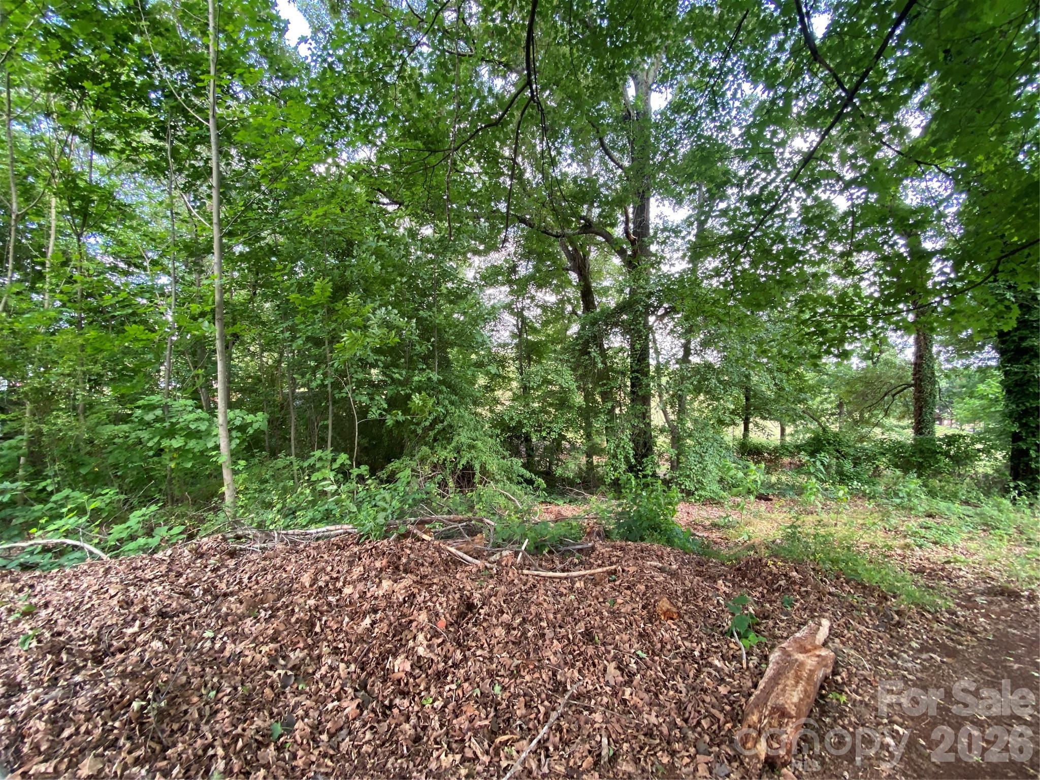2061 Colonial Lane 17/e Property Photo 6
