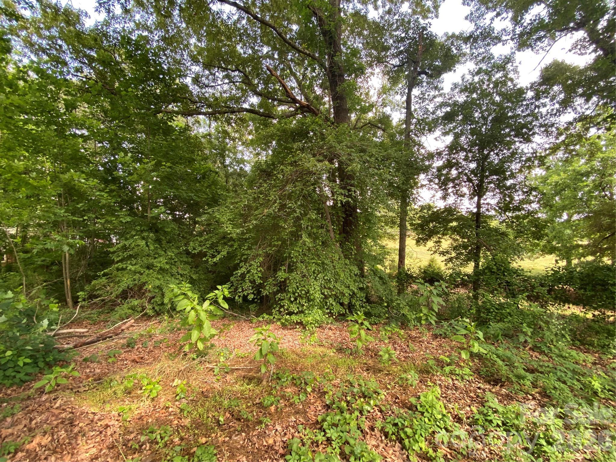 2061 Colonial Lane 17/e Property Photo 7