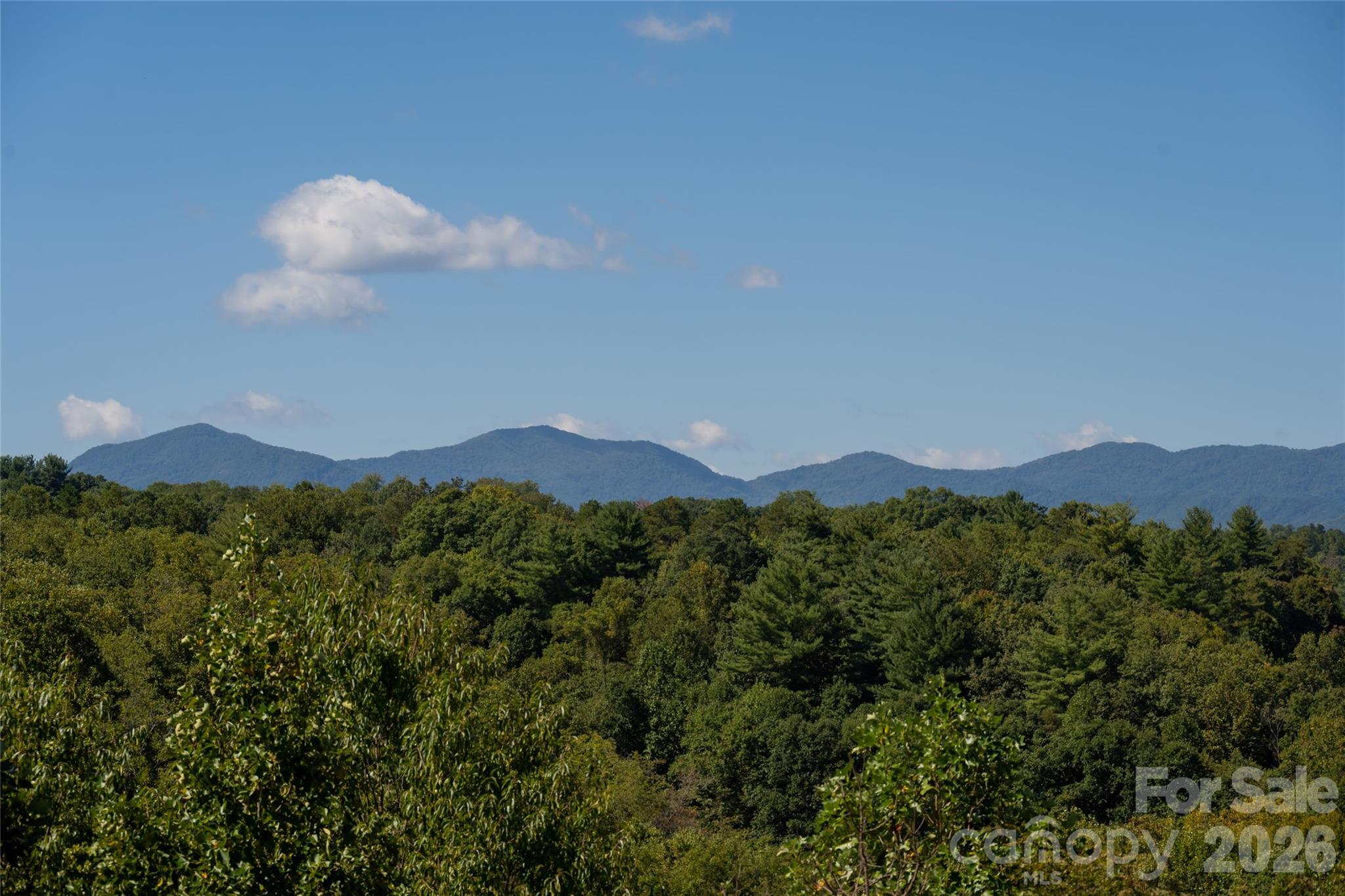 68 Sweet Fern Parkway Property Photo 1
