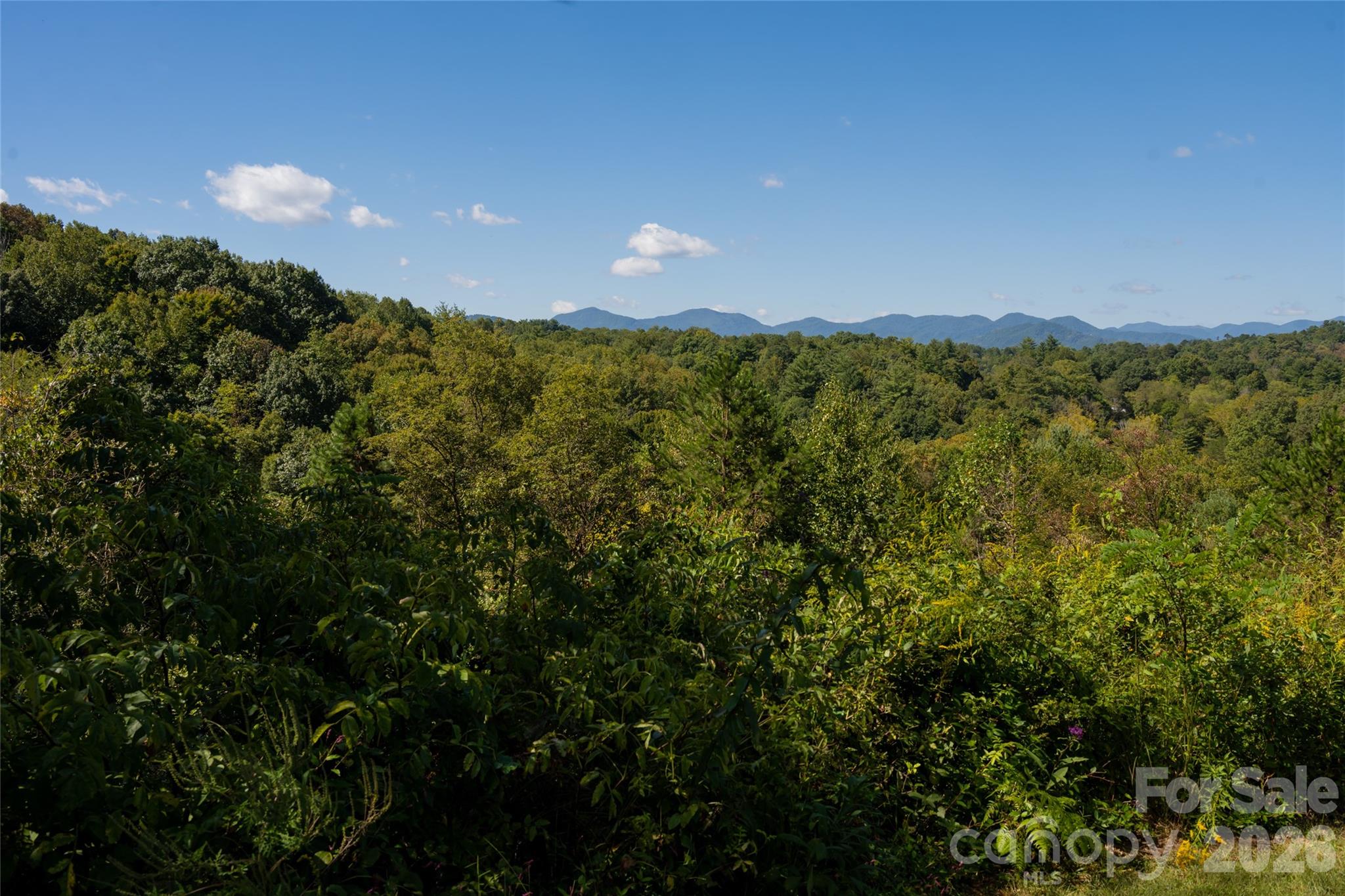 68 Sweet Fern Parkway Property Photo 4