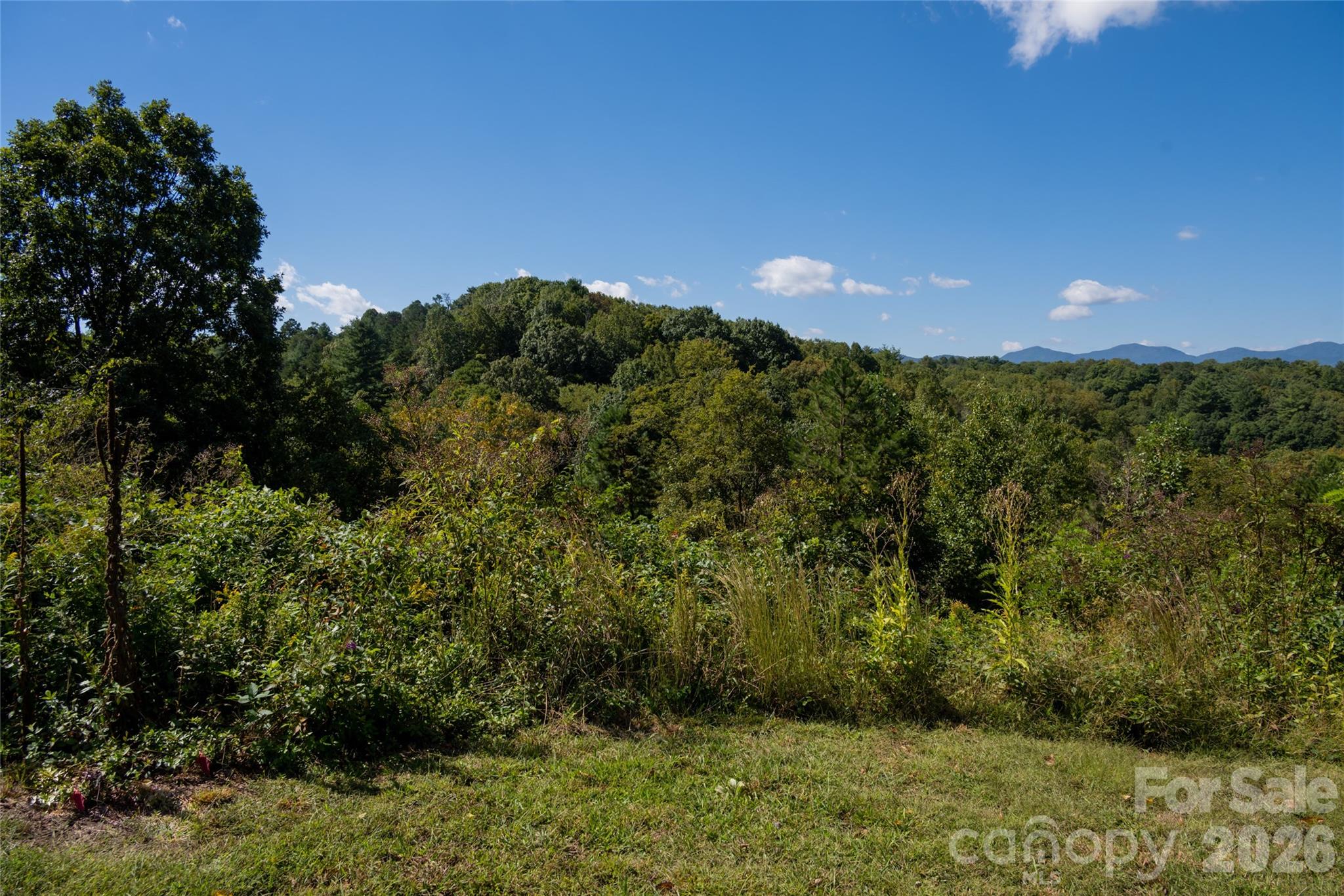 68 Sweet Fern Parkway Property Photo 6
