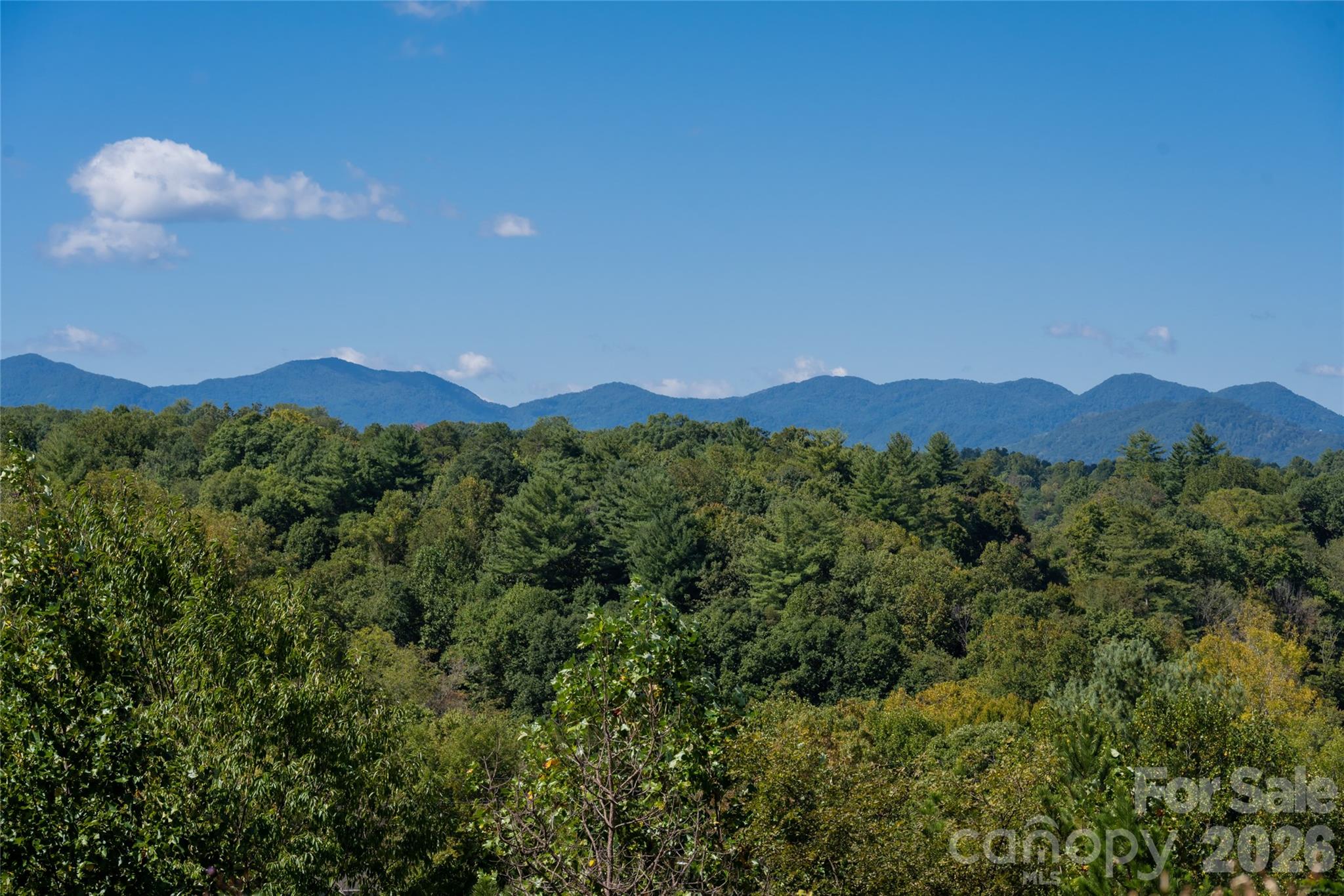 68 Sweet Fern Parkway Property Photo 8