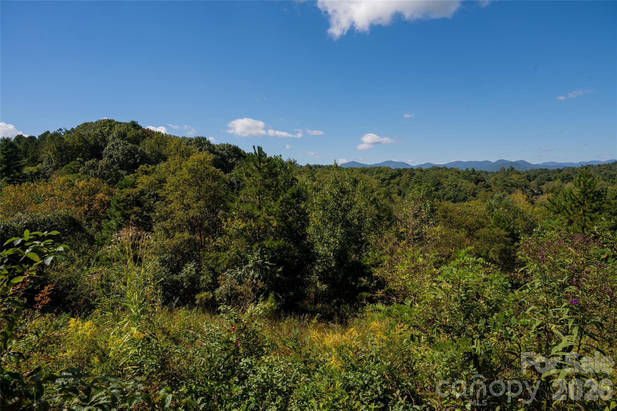 68 Sweet Fern Parkway Property Photo 9