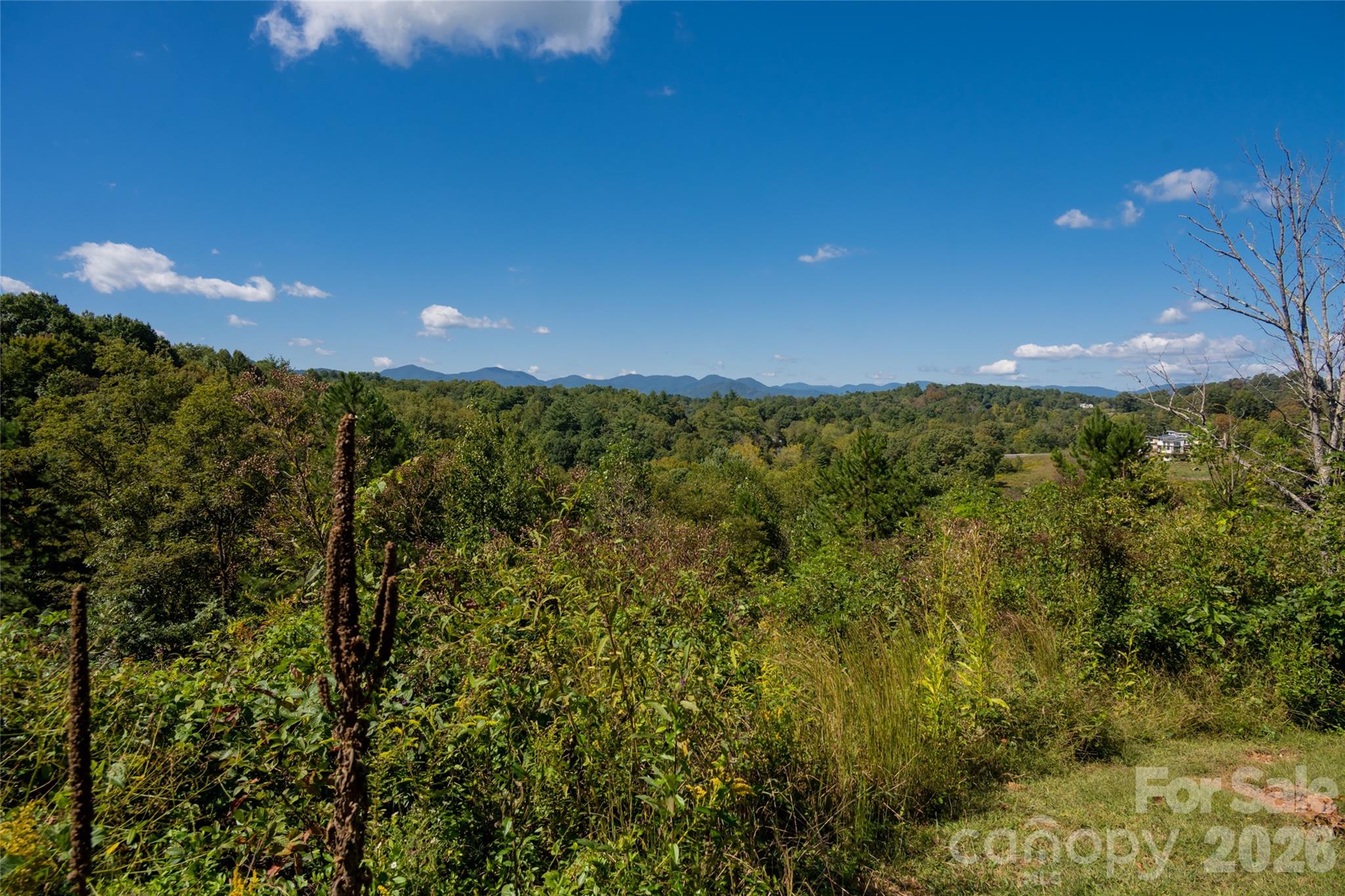 68 Sweet Fern Parkway Property Photo 10
