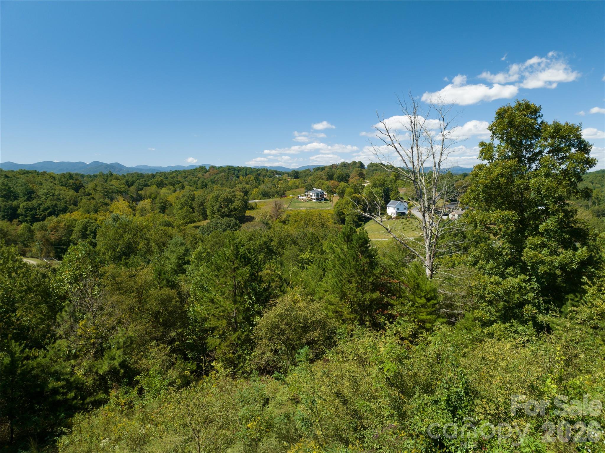 68 Sweet Fern Parkway Property Photo 12
