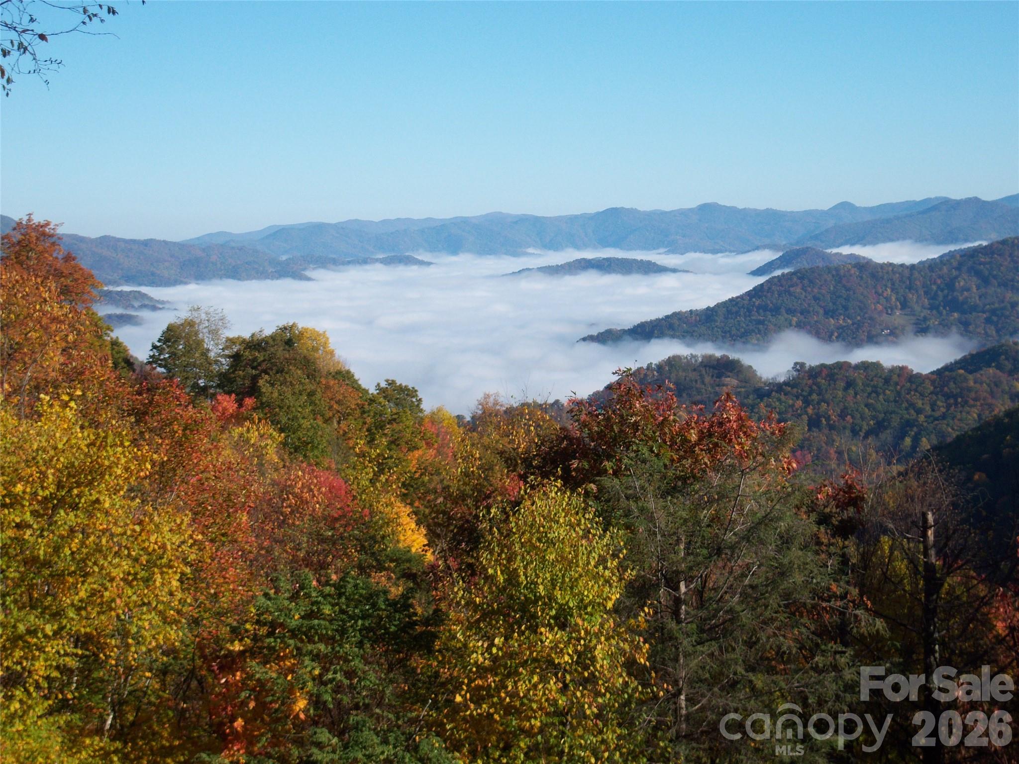 40 Adohi Trail Property Photo 2