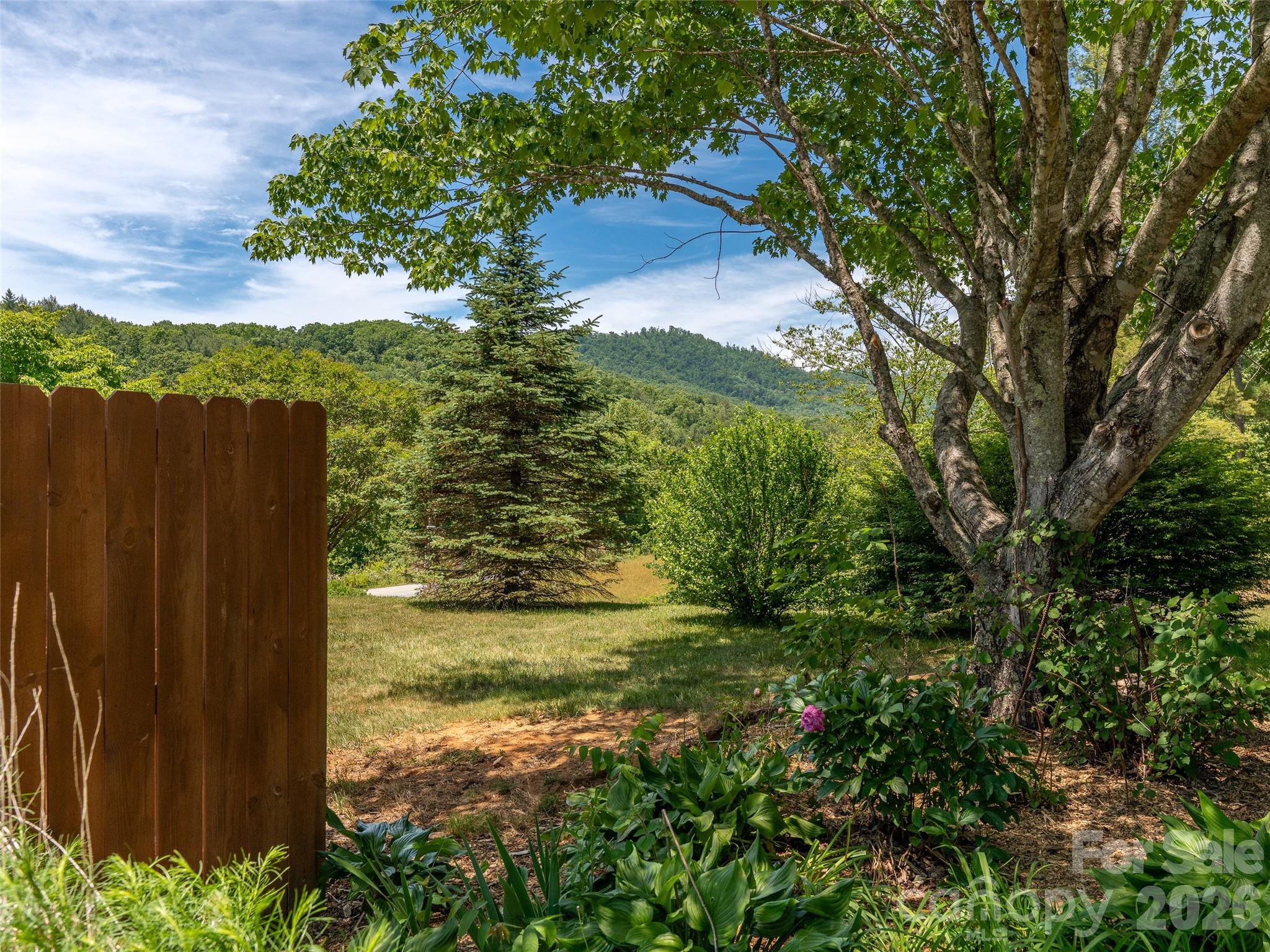 241 Pinners Cove Road Property Photo 22