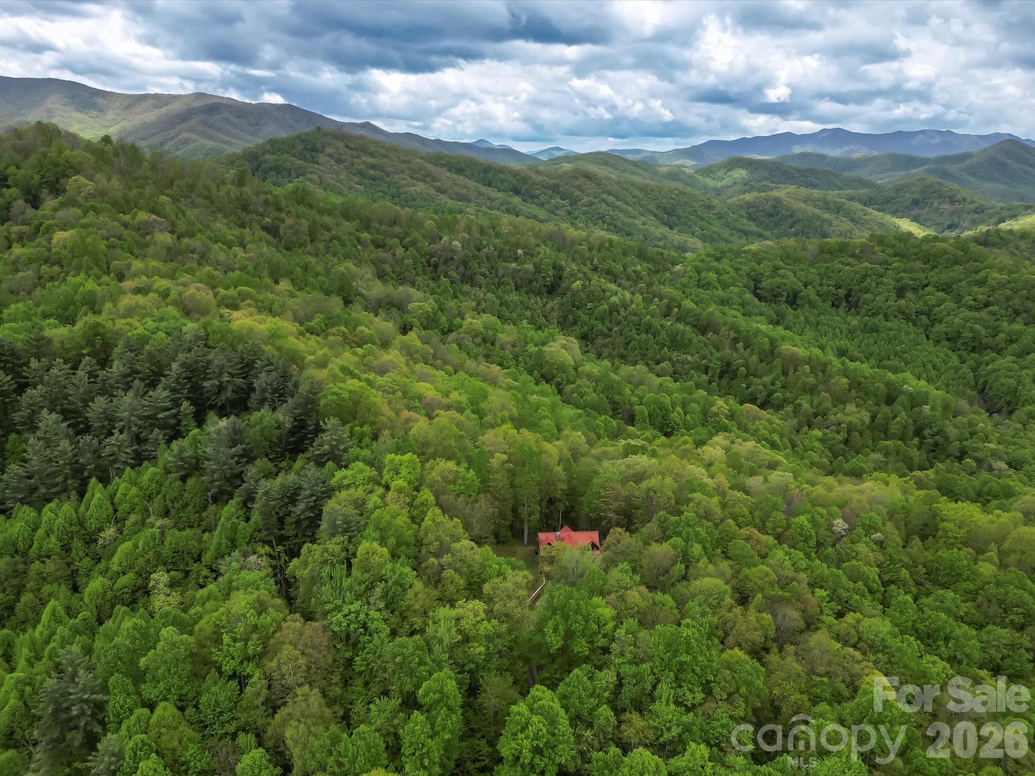 917 Otter Mountain Road Property Photo 46