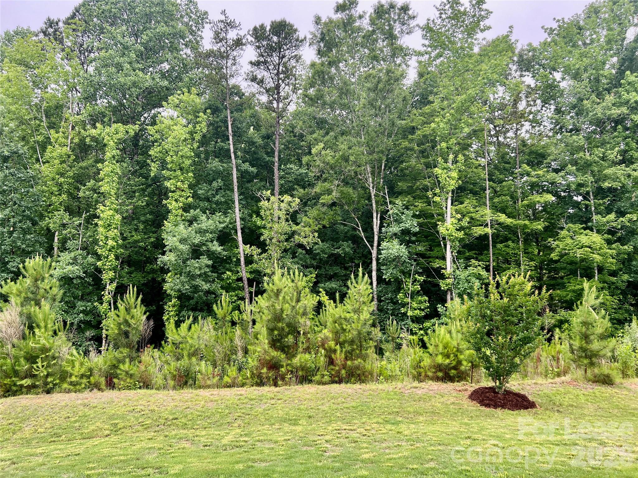 601 Deep River Way Property Photo 20