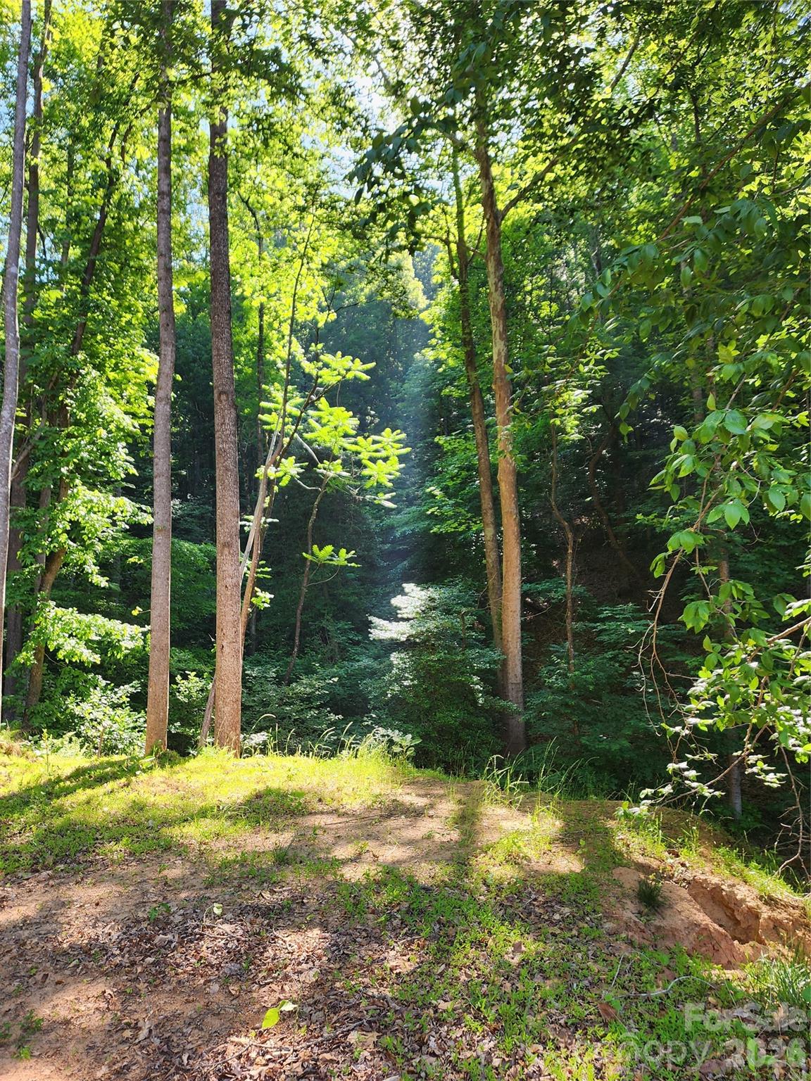 TBD Boone Gap Lane Property Photo 1