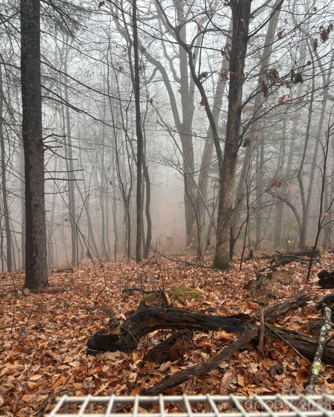 Tbd Boone Gap Lane Property Photo 6