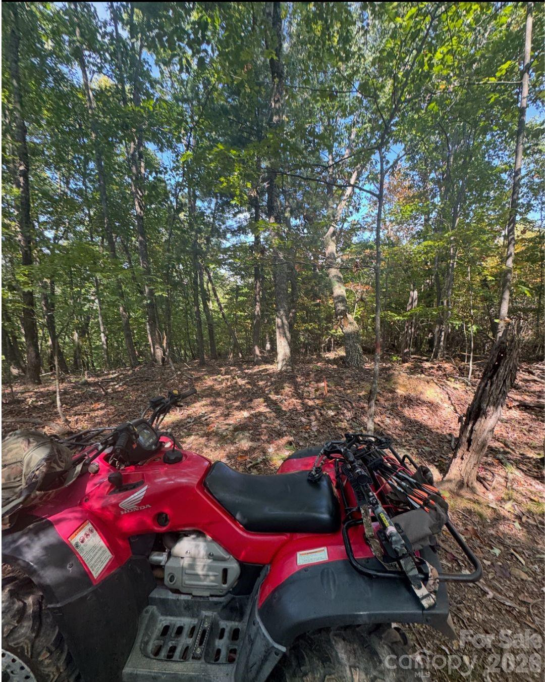 Tbd Boone Gap Lane Property Photo 7