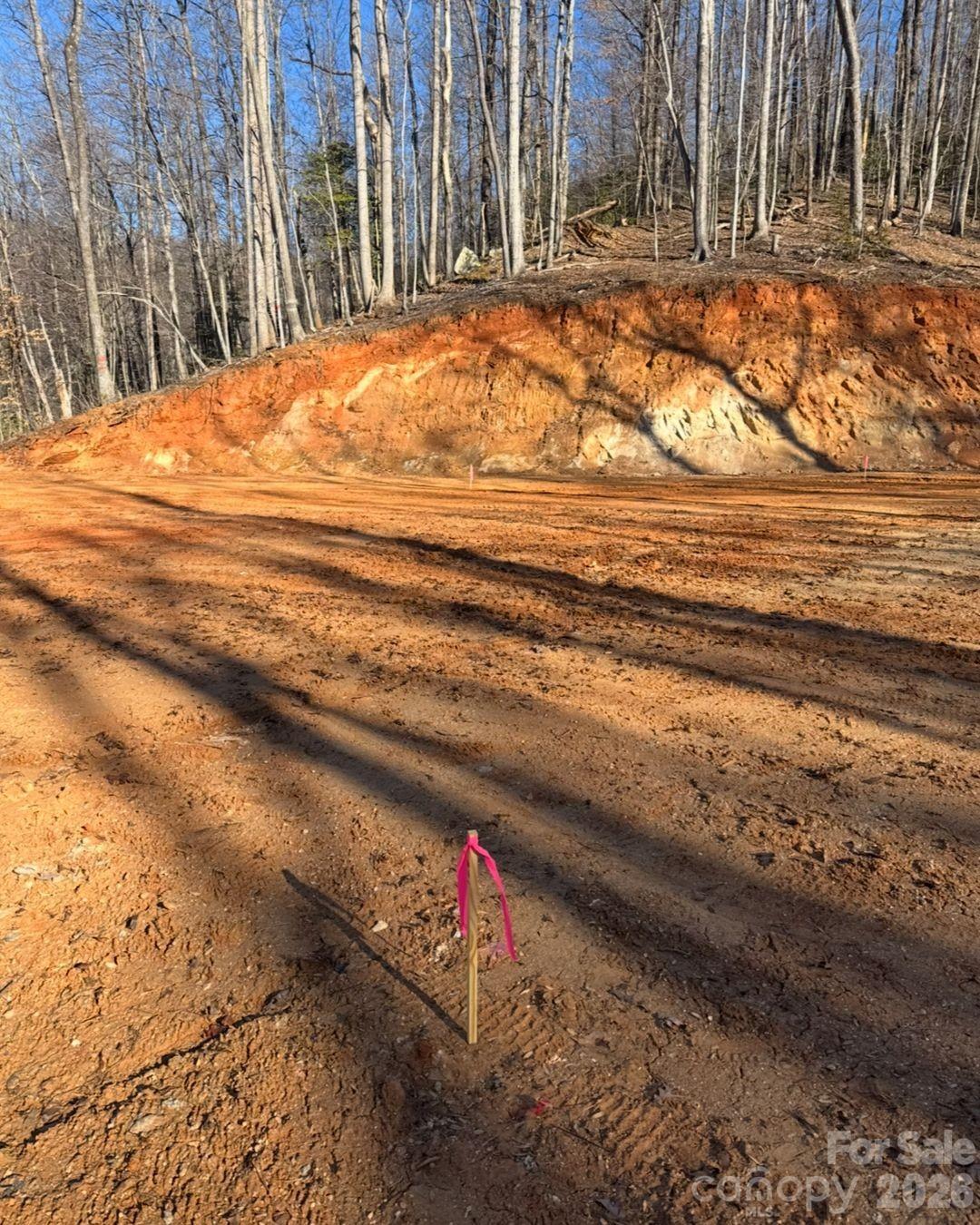 Tbd Boone Gap Lane Property Photo 12
