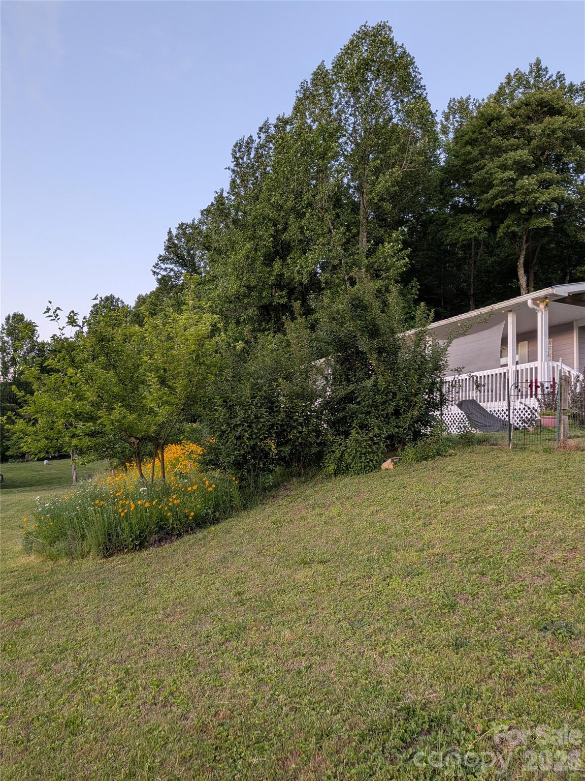 59 Ck Cabin Drive Property Photo 35